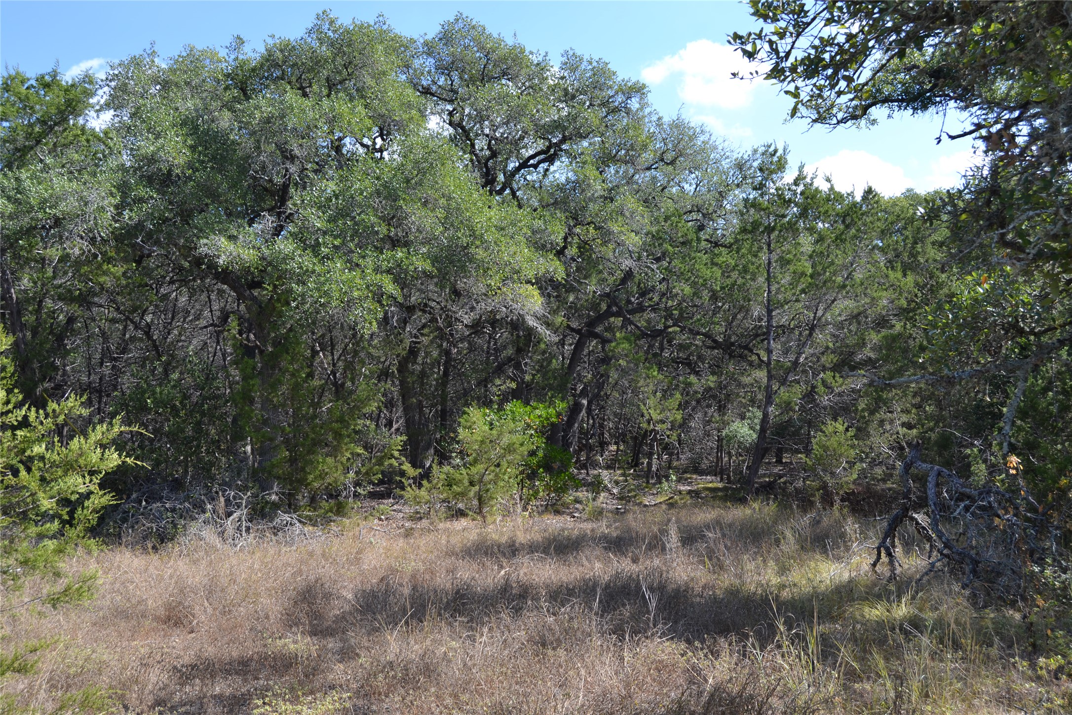 main property photo 38