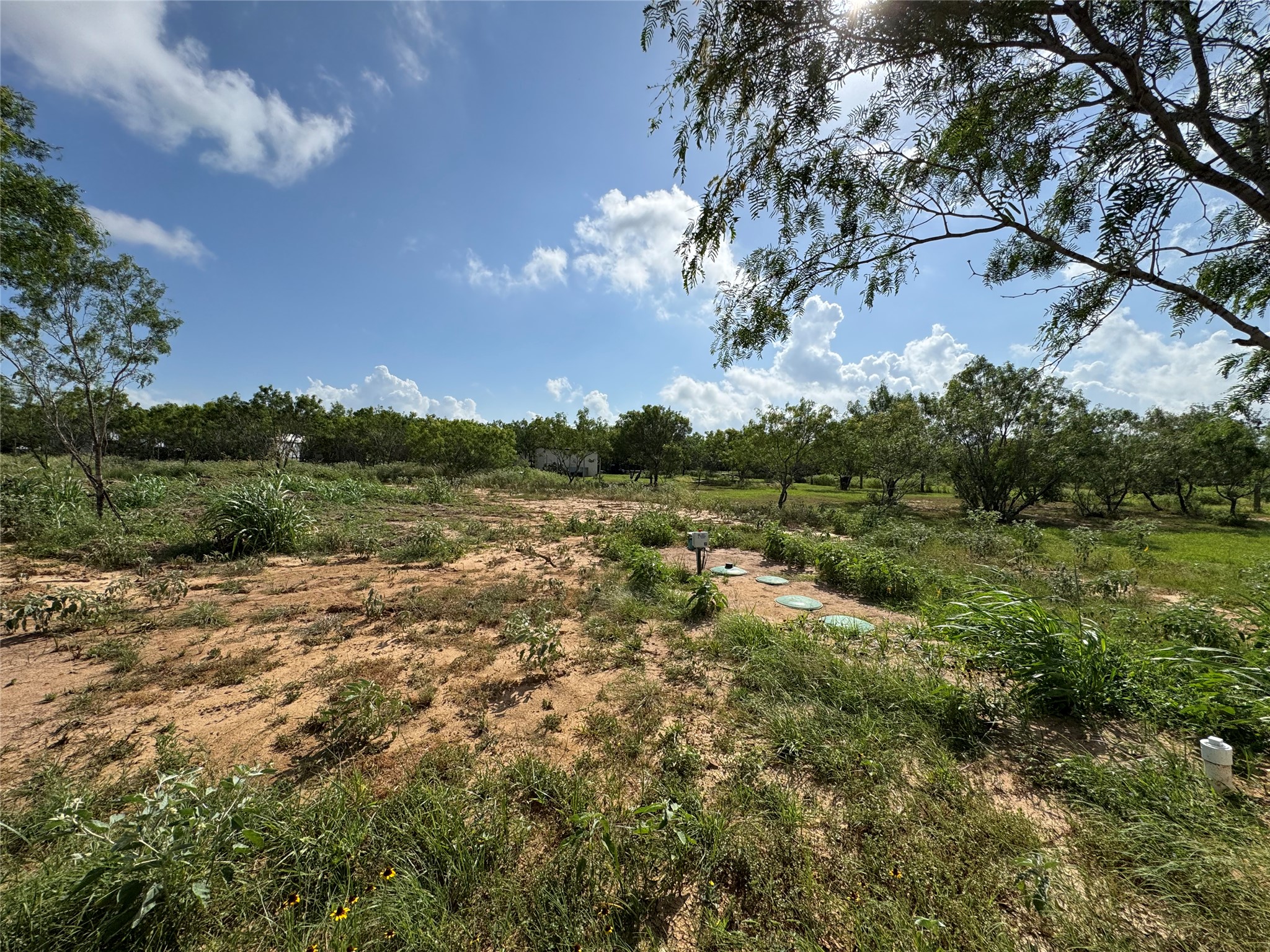 main property photo 18