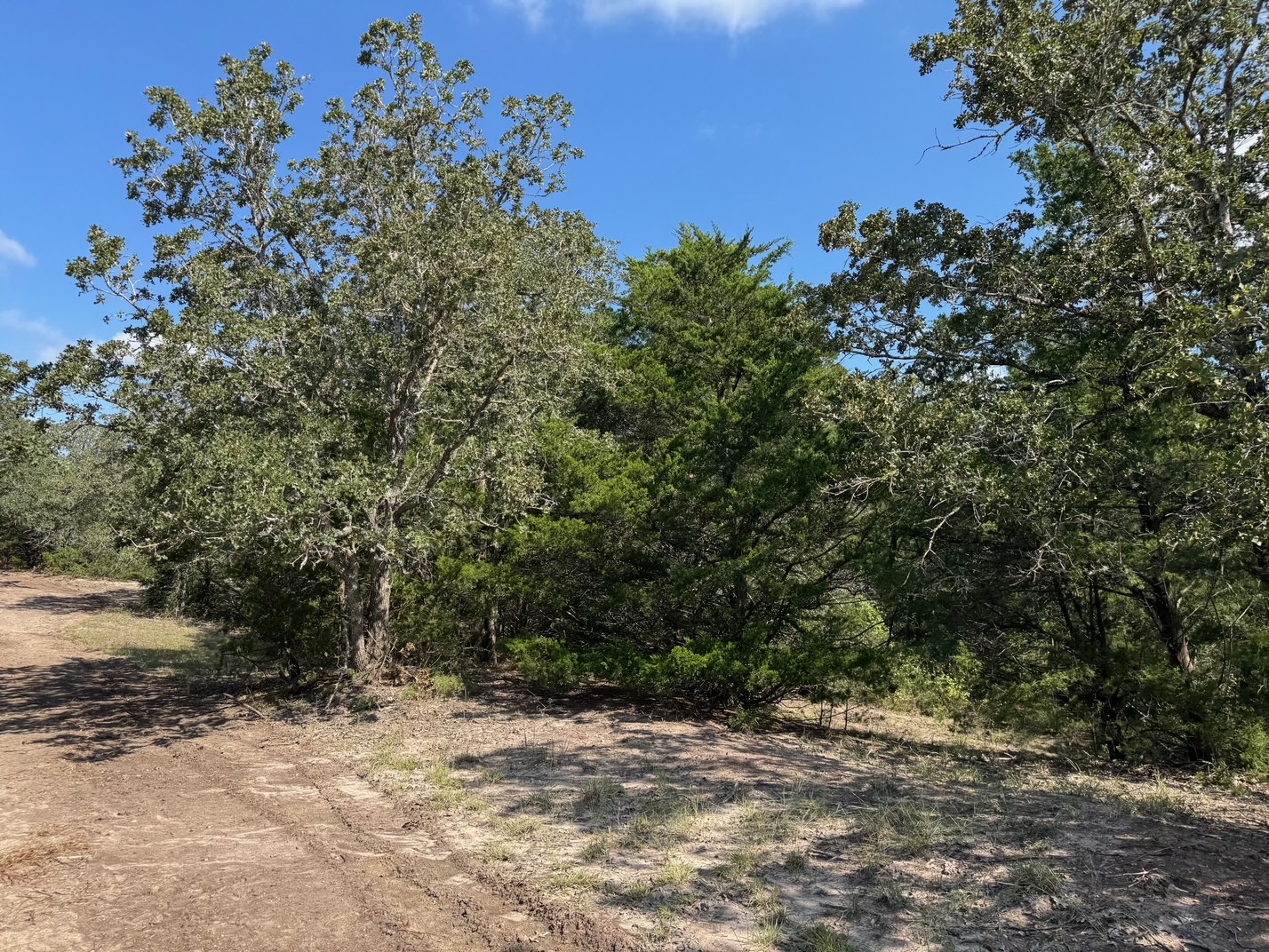 main property photo 6