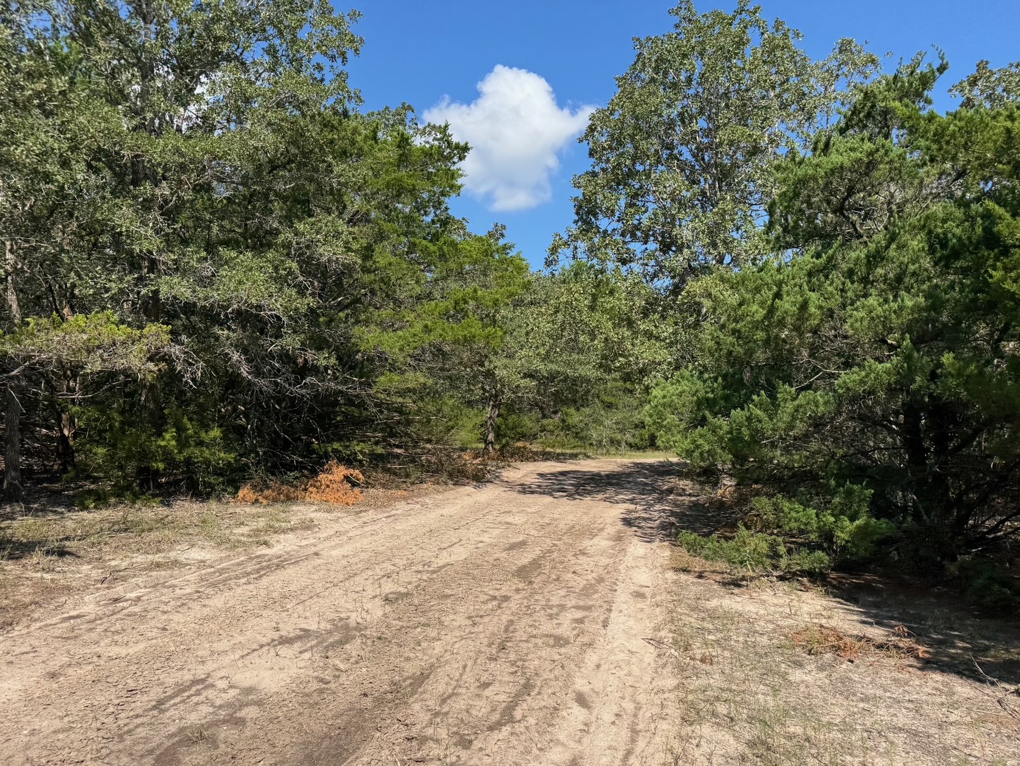 main property photo 7