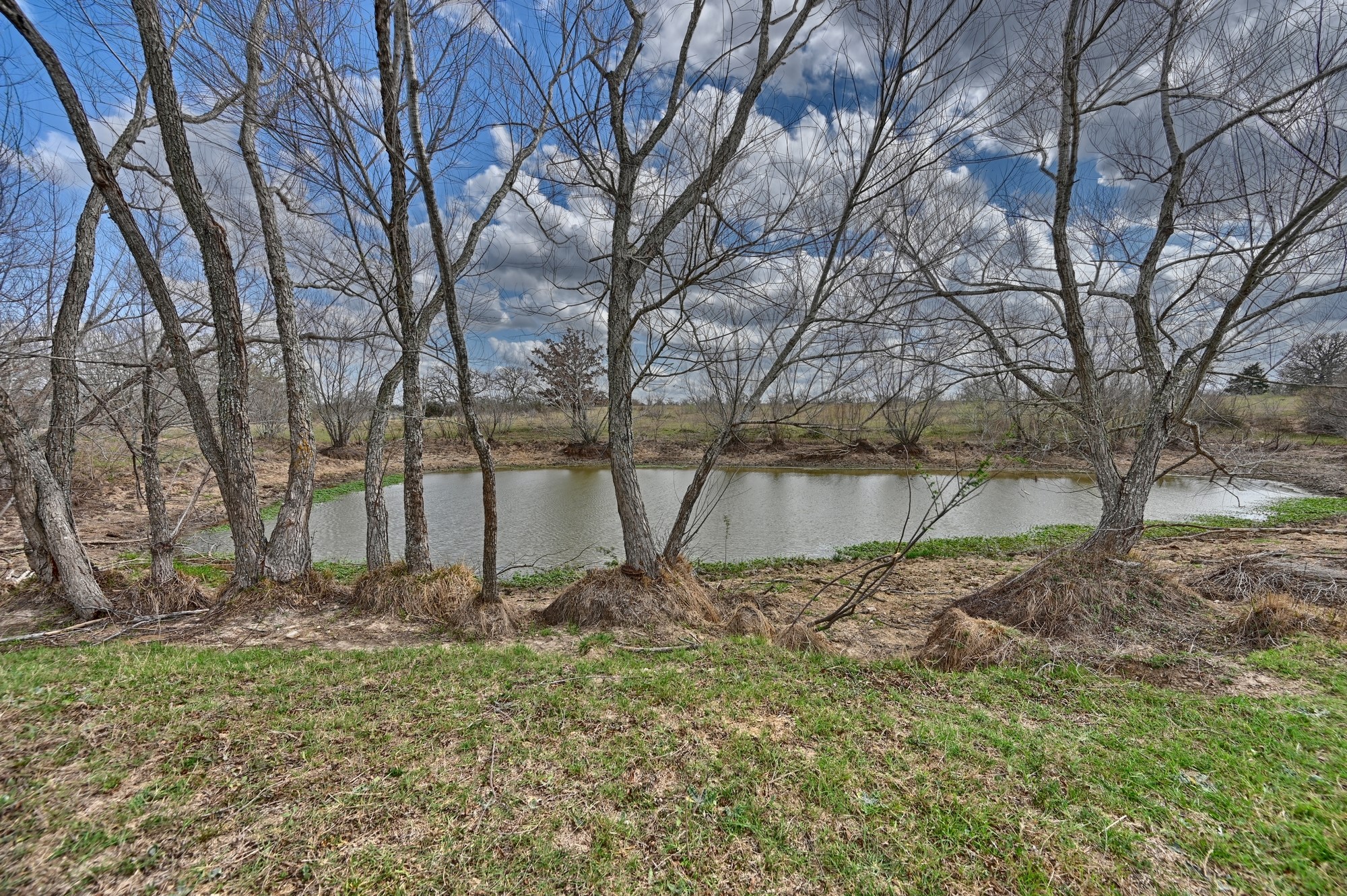 main property photo 38