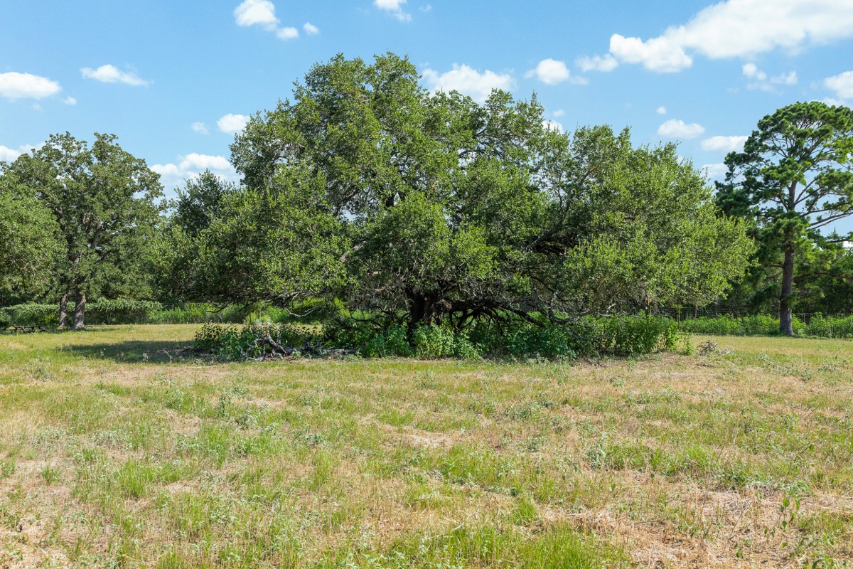 main property photo 33