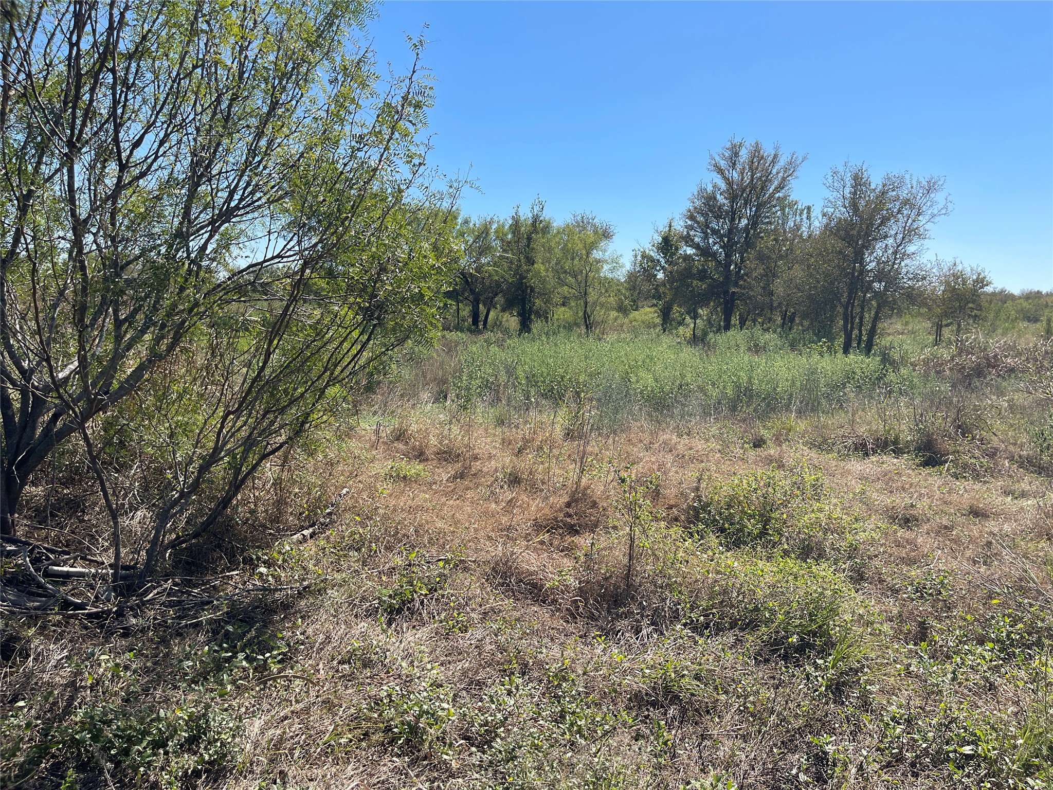 main property photo 19
