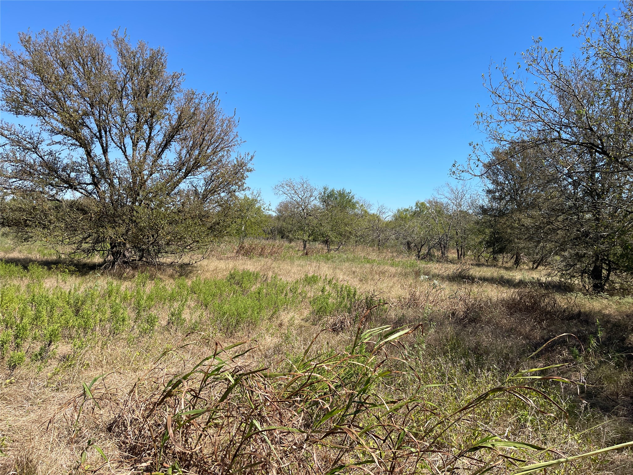main property photo 20