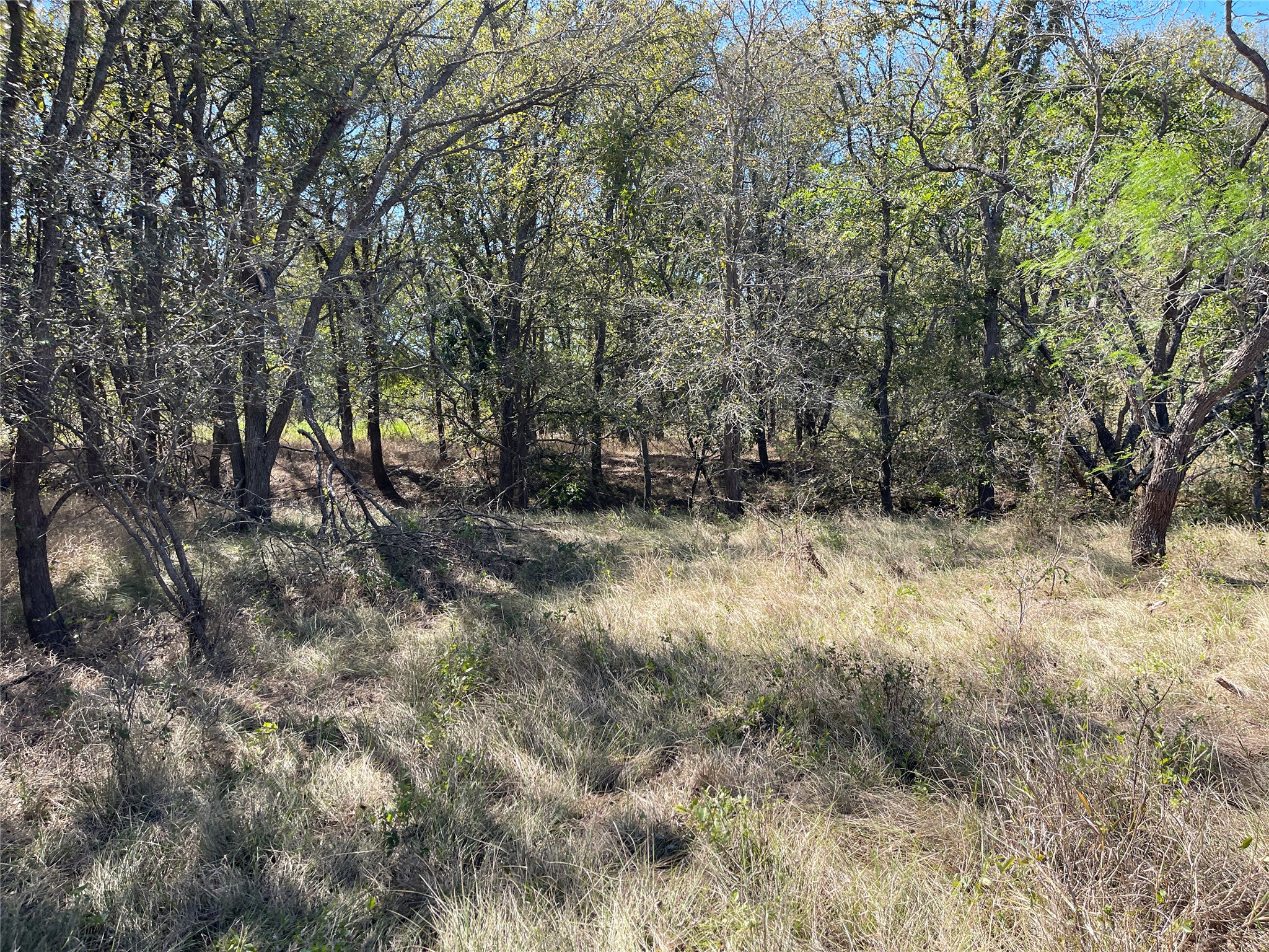 main property photo 21