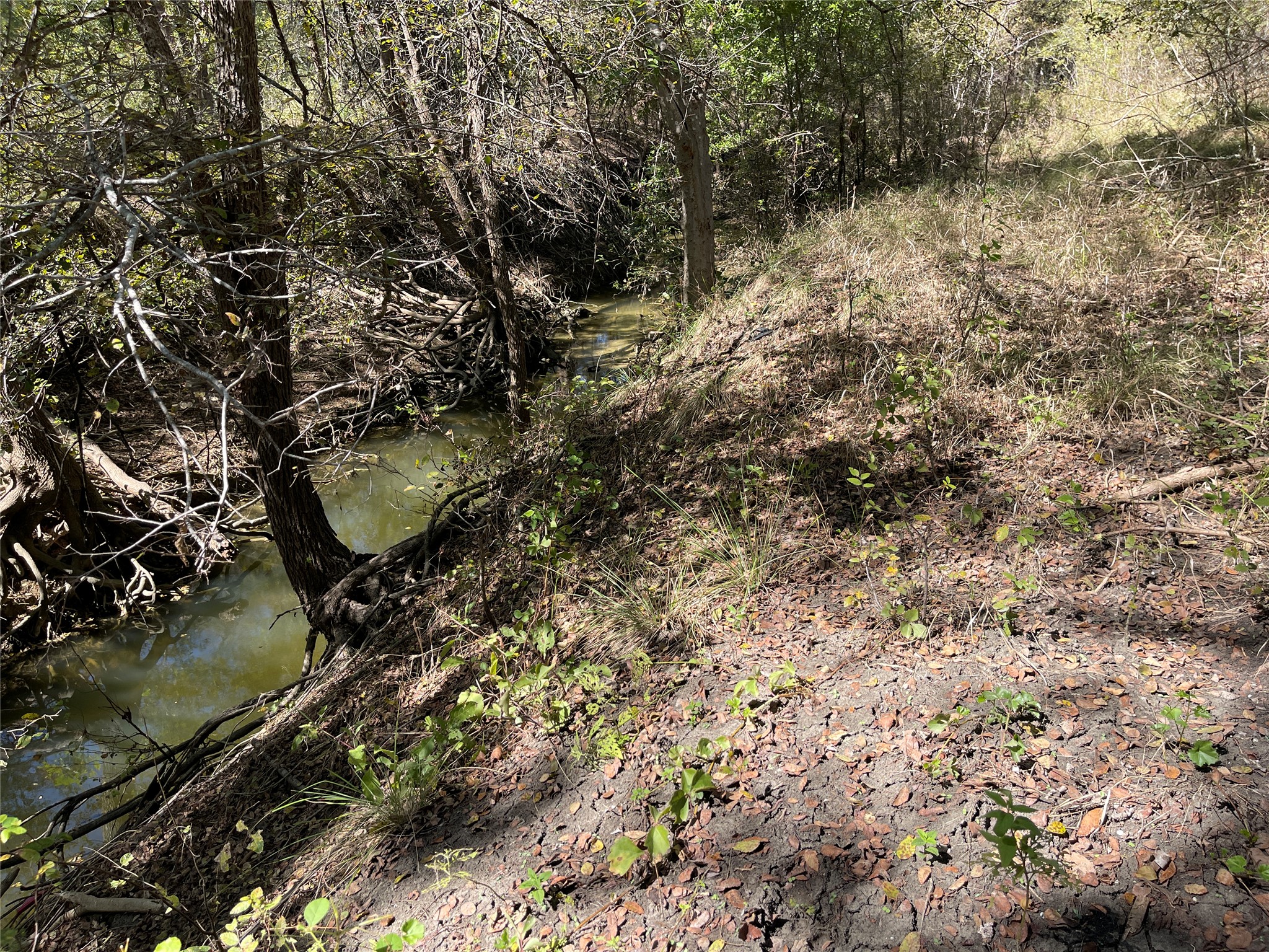main property photo 24