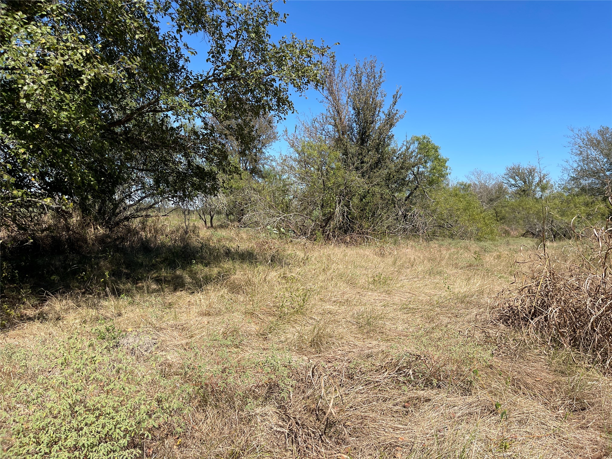 main property photo 25