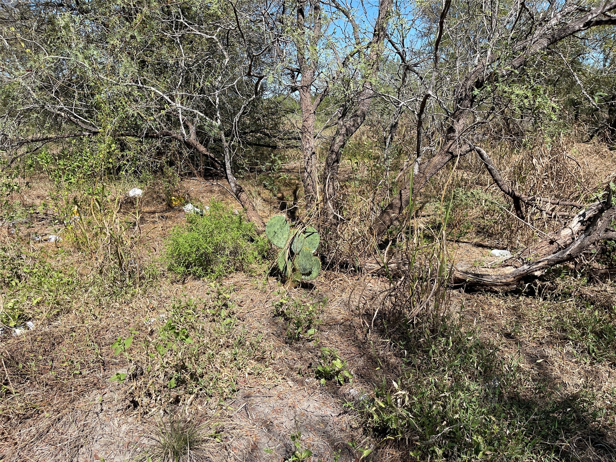 main property photo 26