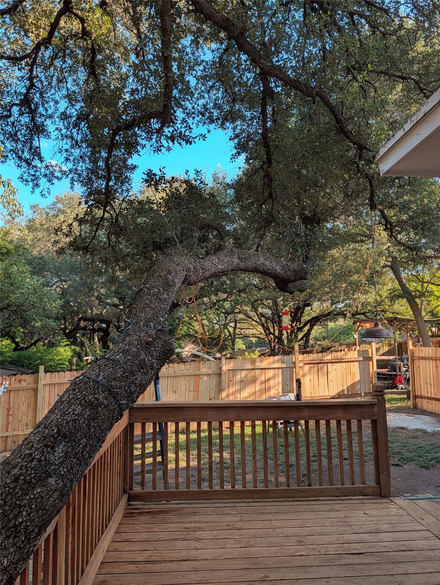 main property photo 16