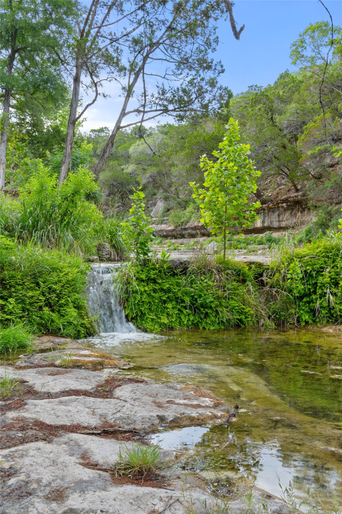 main property photo 31