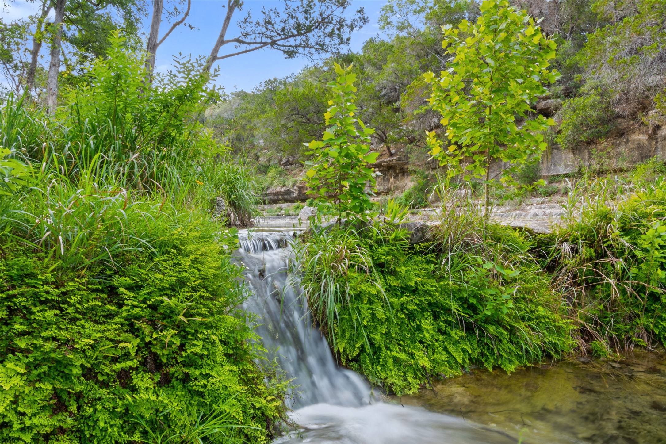 main property photo 33