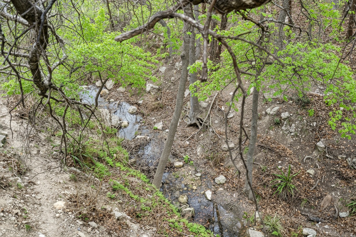 main property photo 28