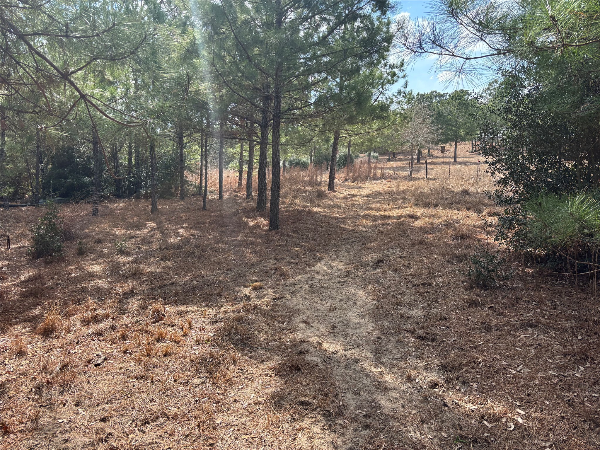 main property photo 10