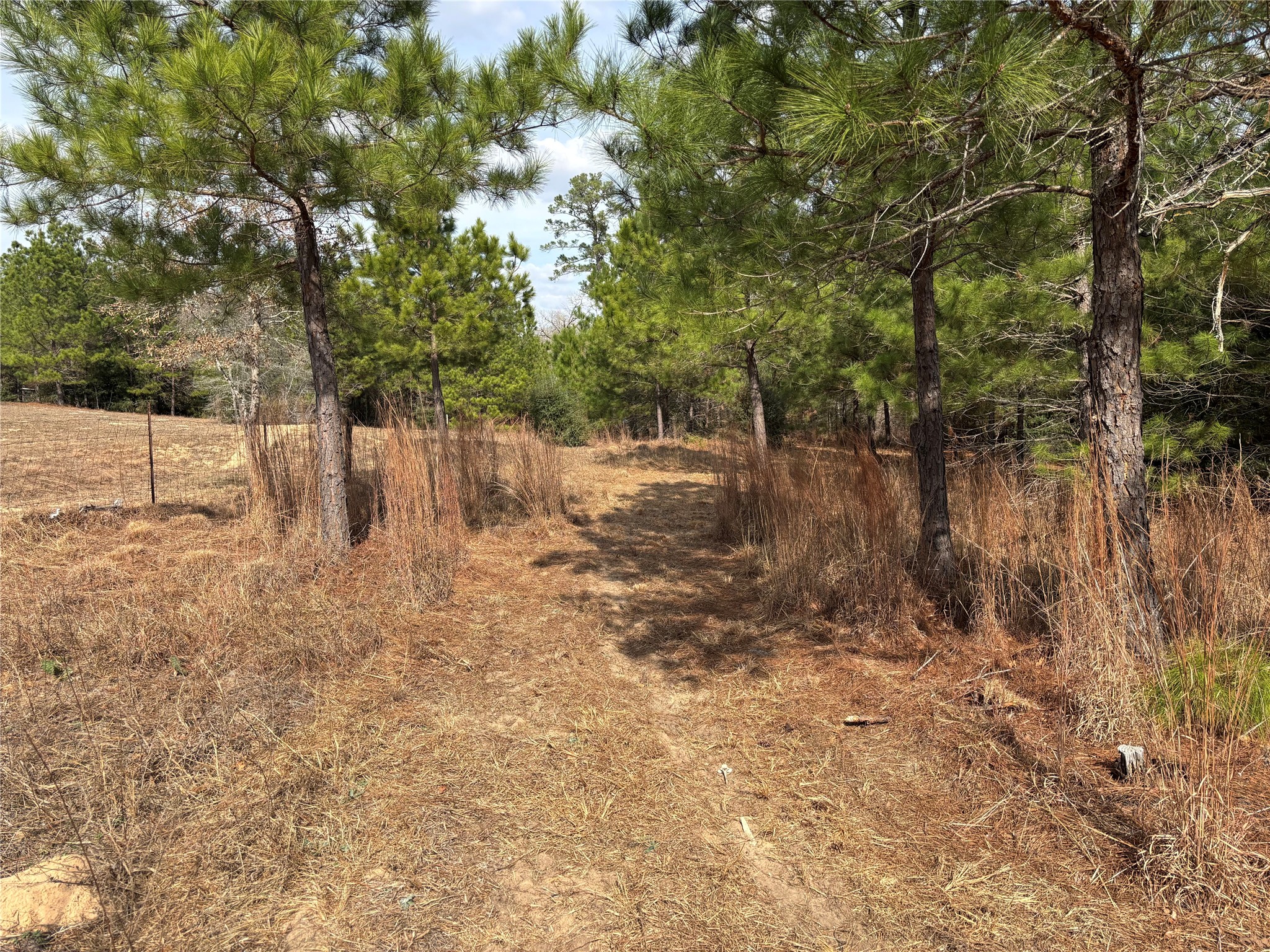 main property photo 11