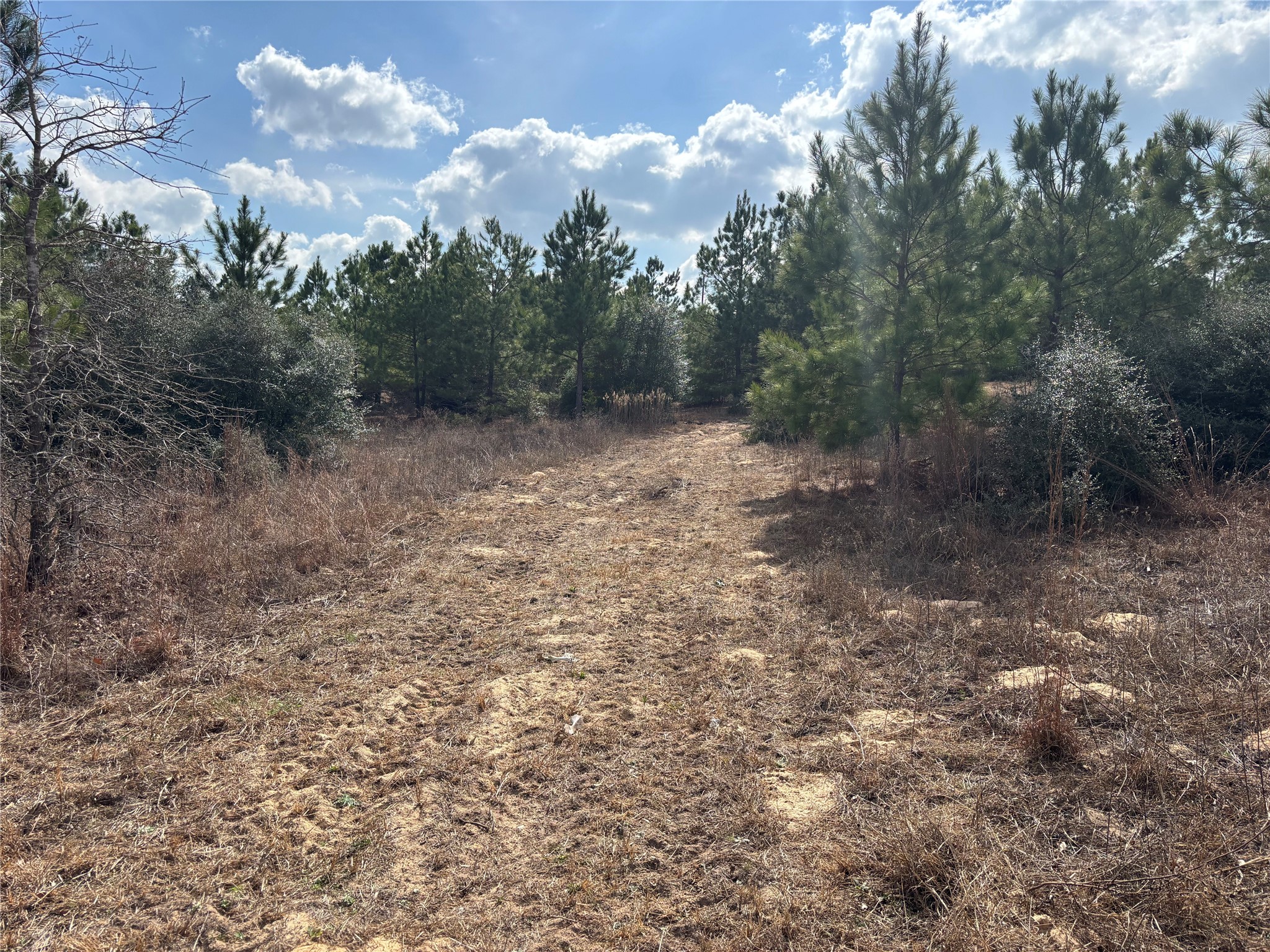main property photo 12