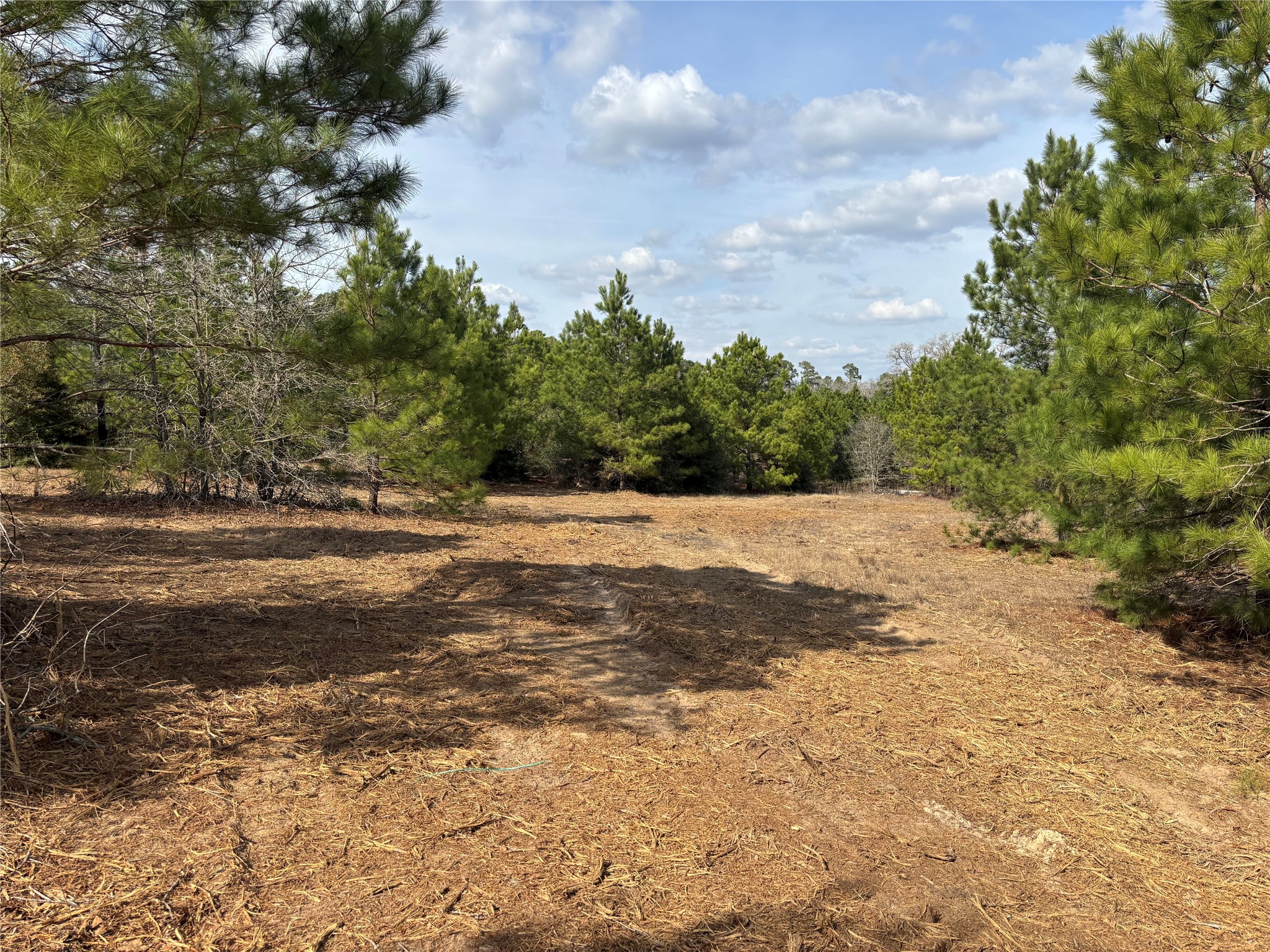 main property photo 16