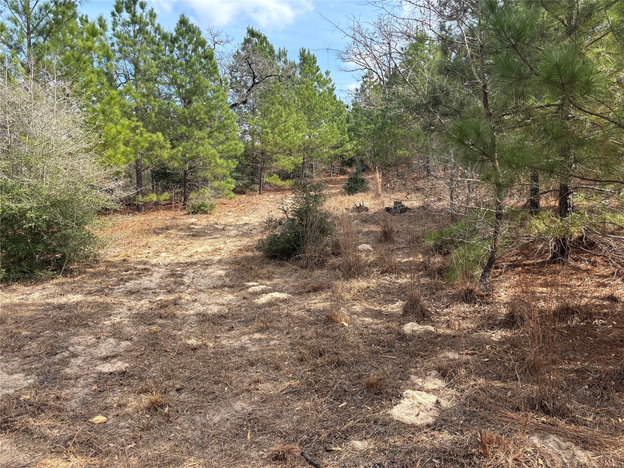 main property photo 7
