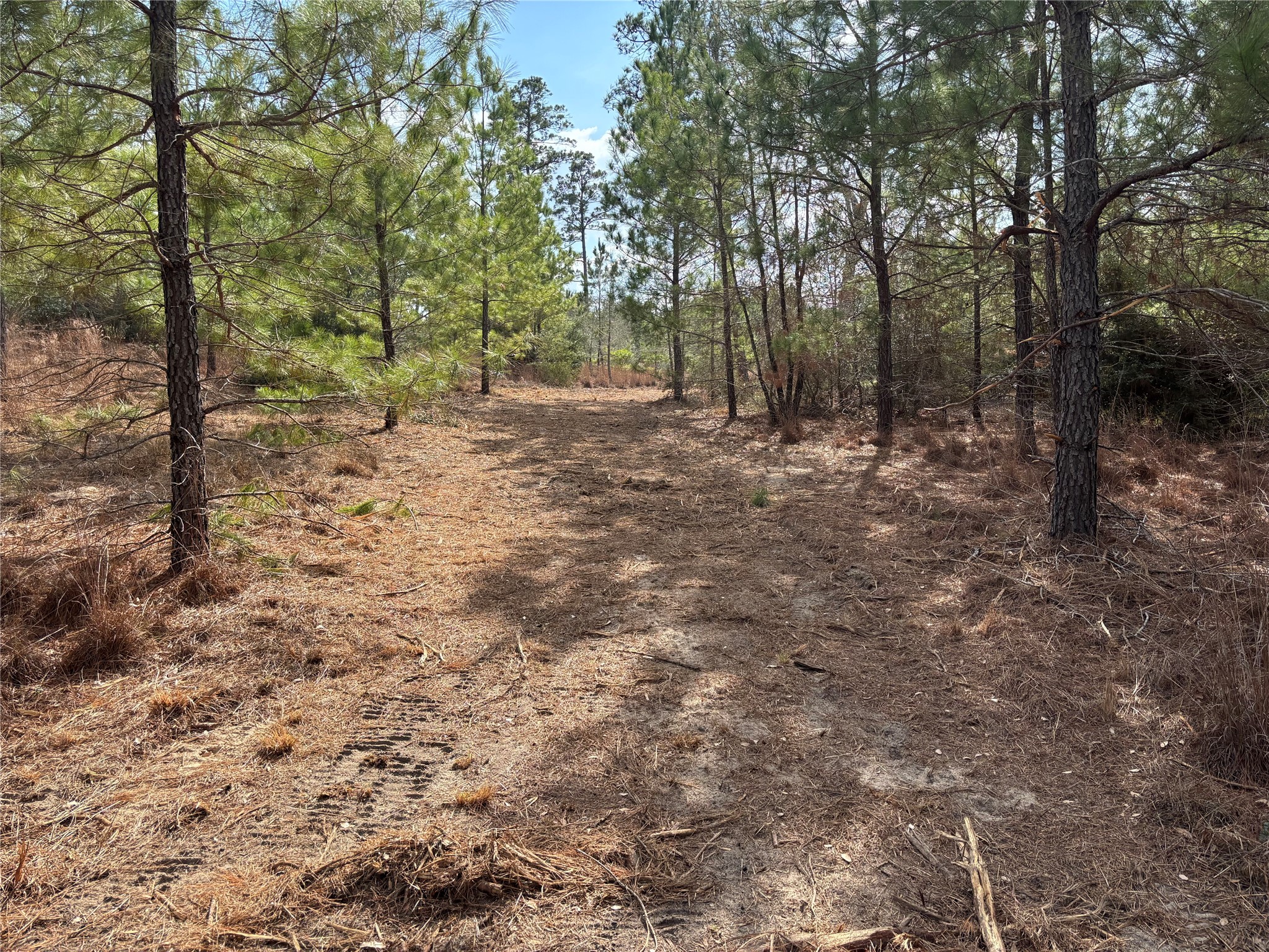 main property photo 8