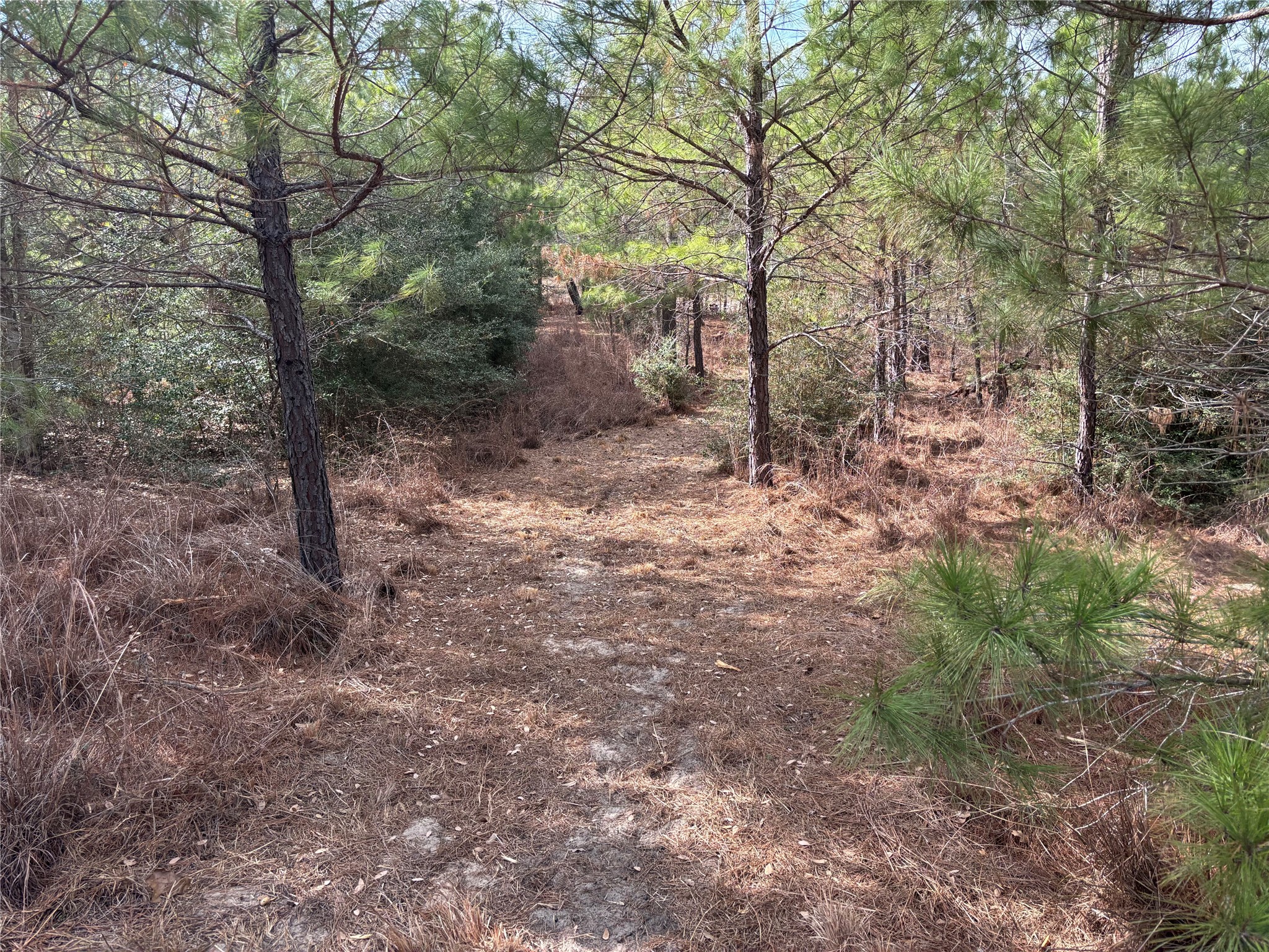 main property photo 9