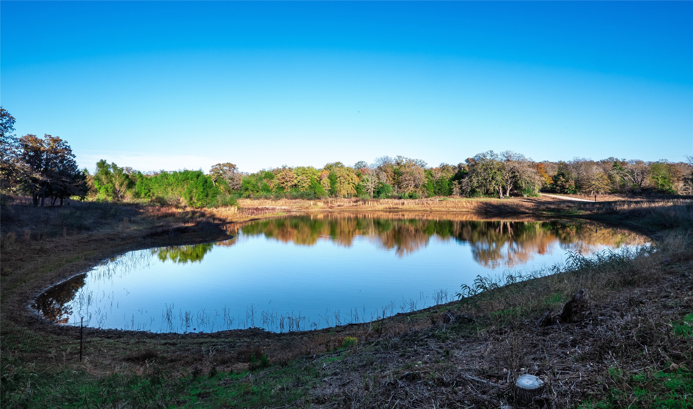 main property photo 39