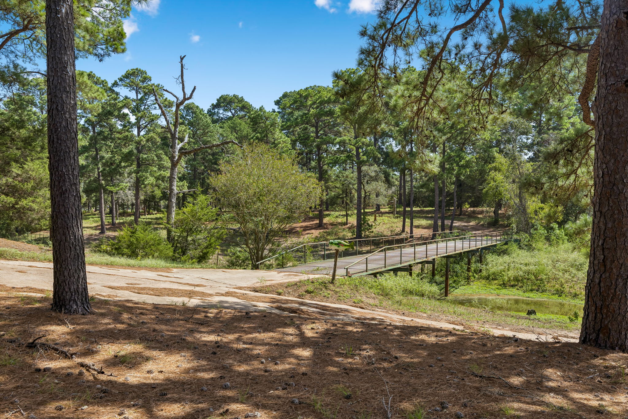 main property photo 26