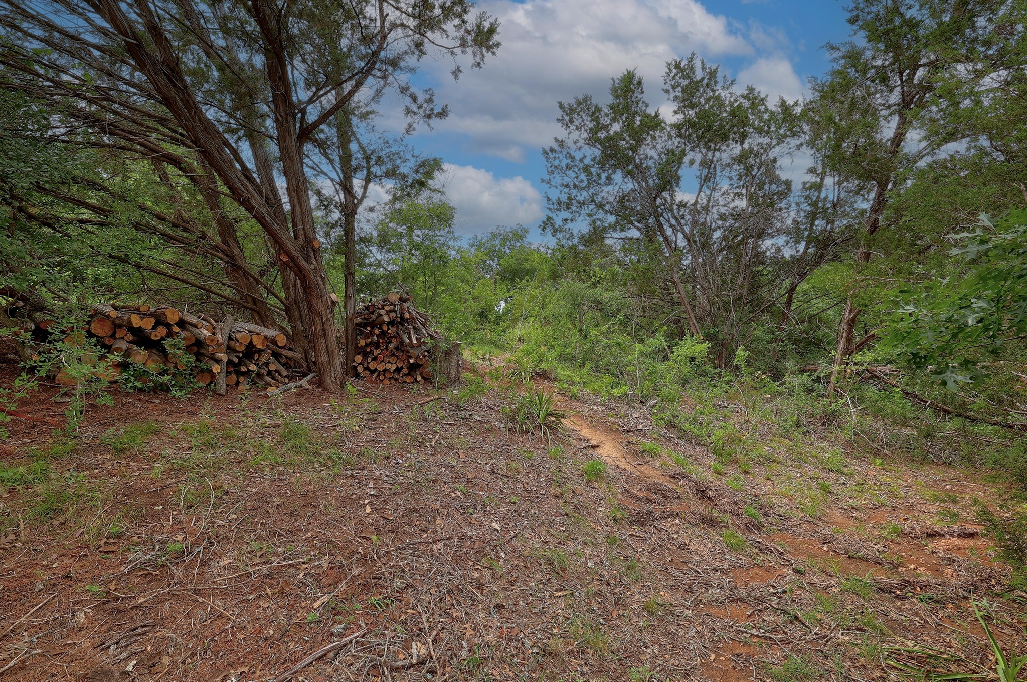 main property photo 11