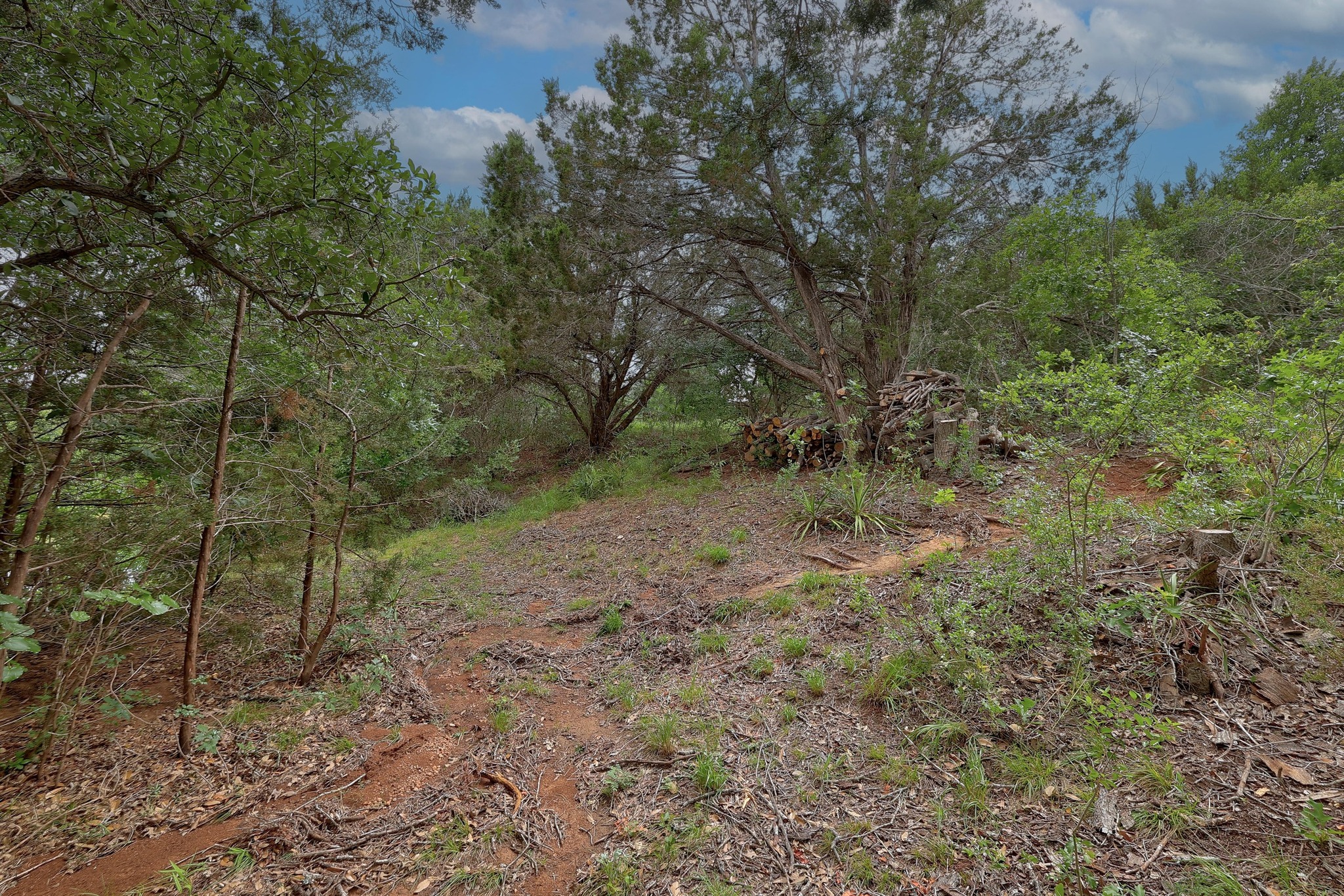 main property photo 12
