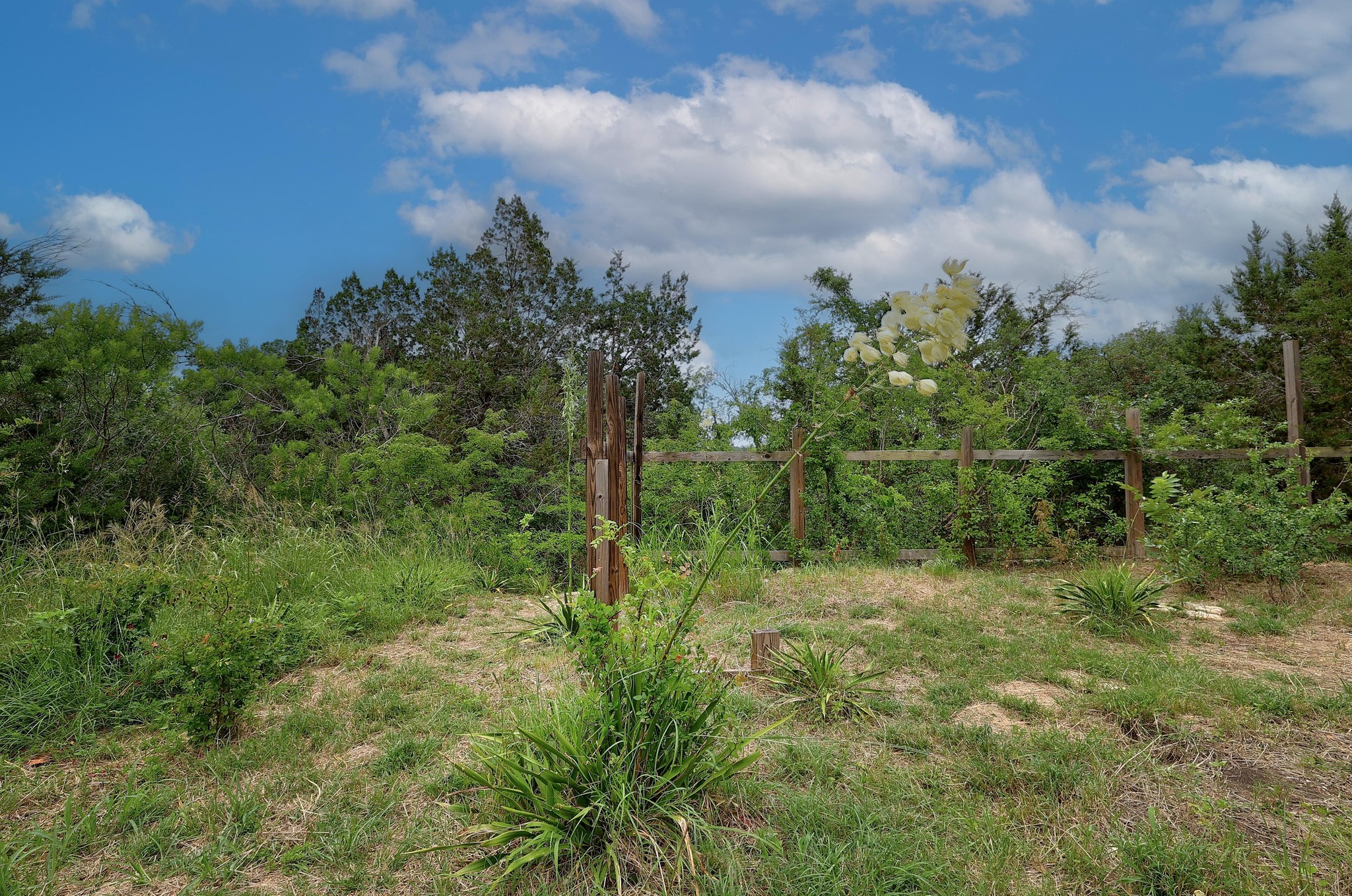 main property photo 16