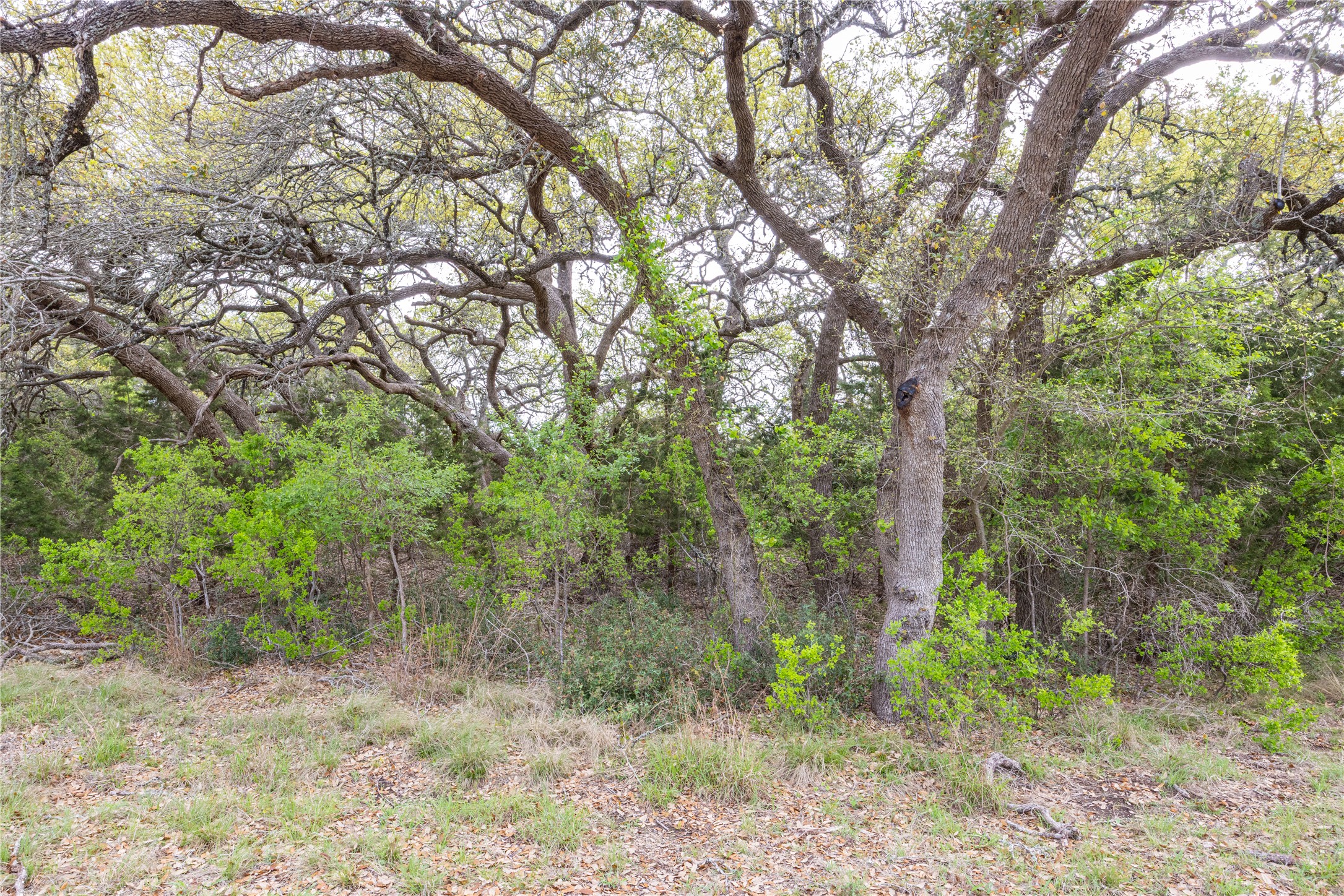 main property photo 17