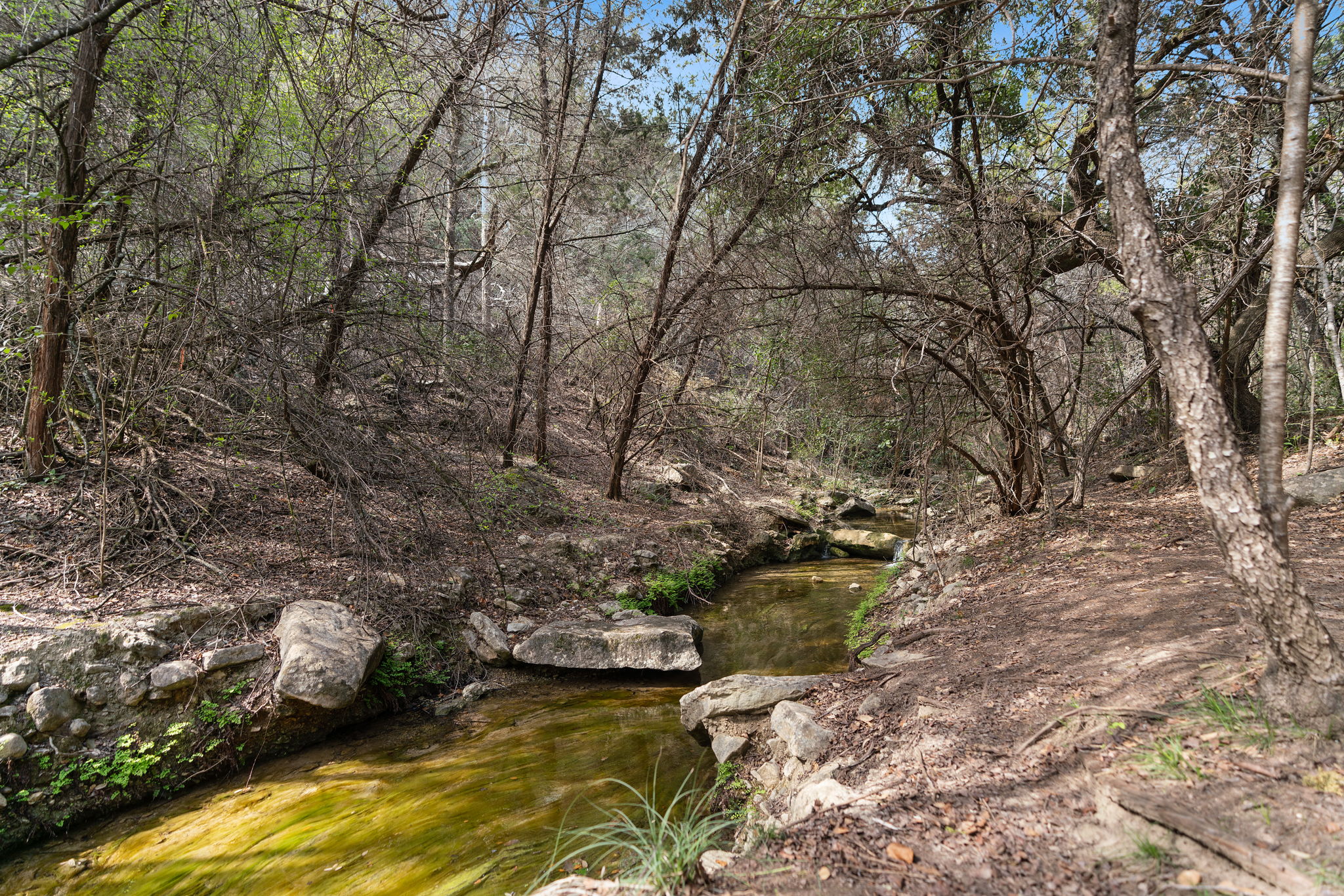 main property photo 28