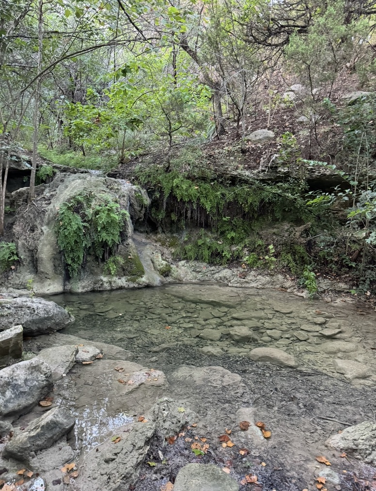 main property photo 30