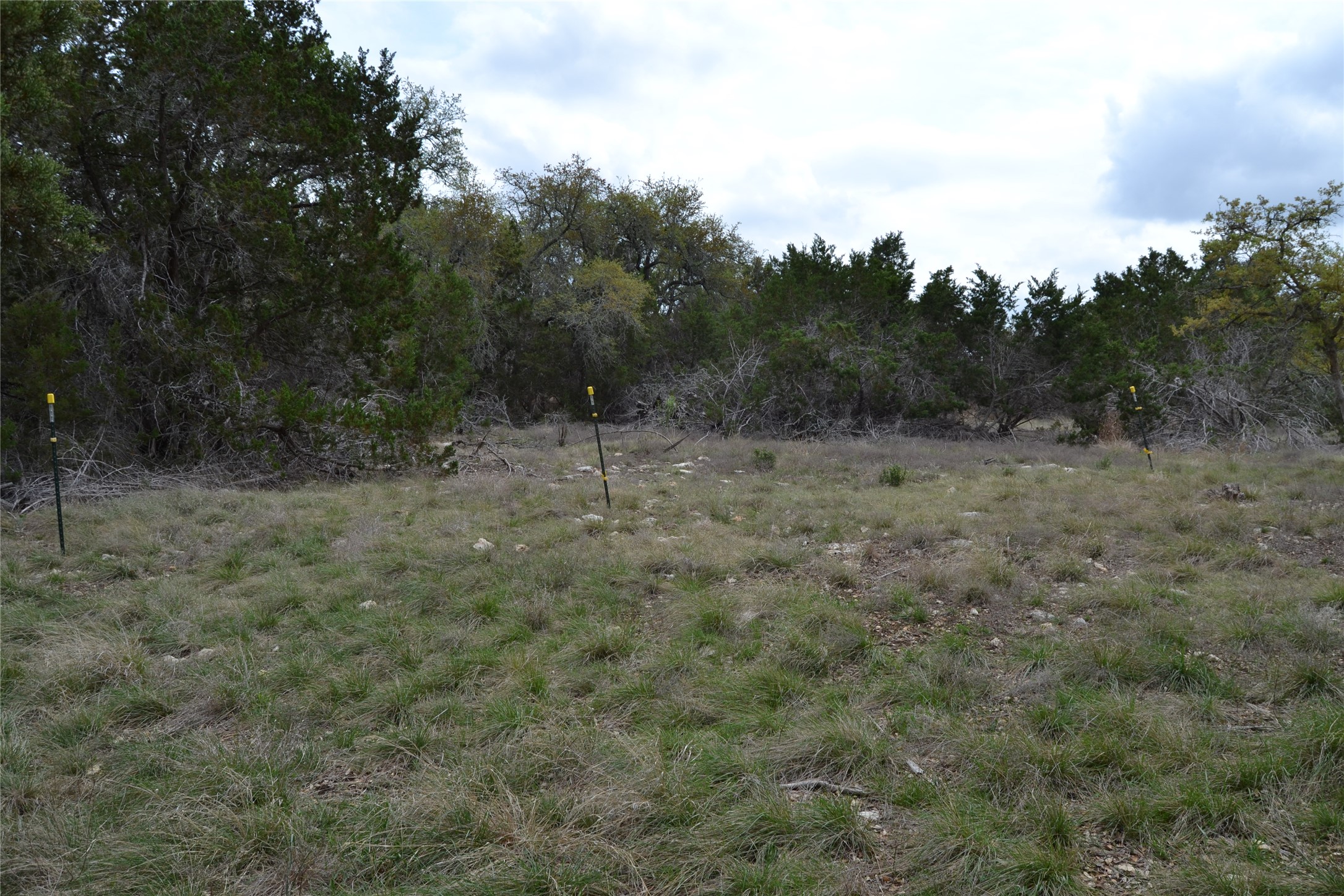 main property photo 31