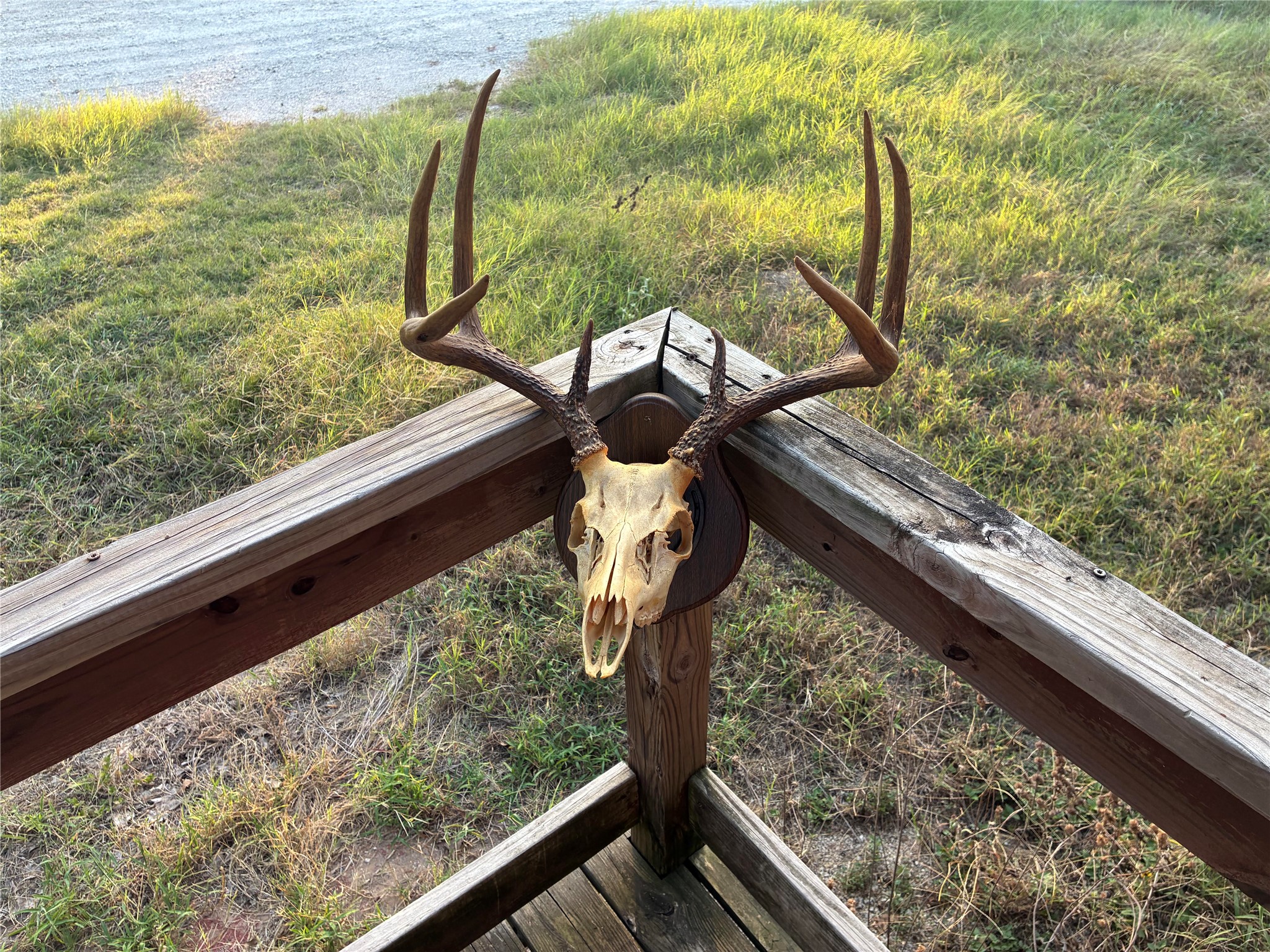 main property photo 19