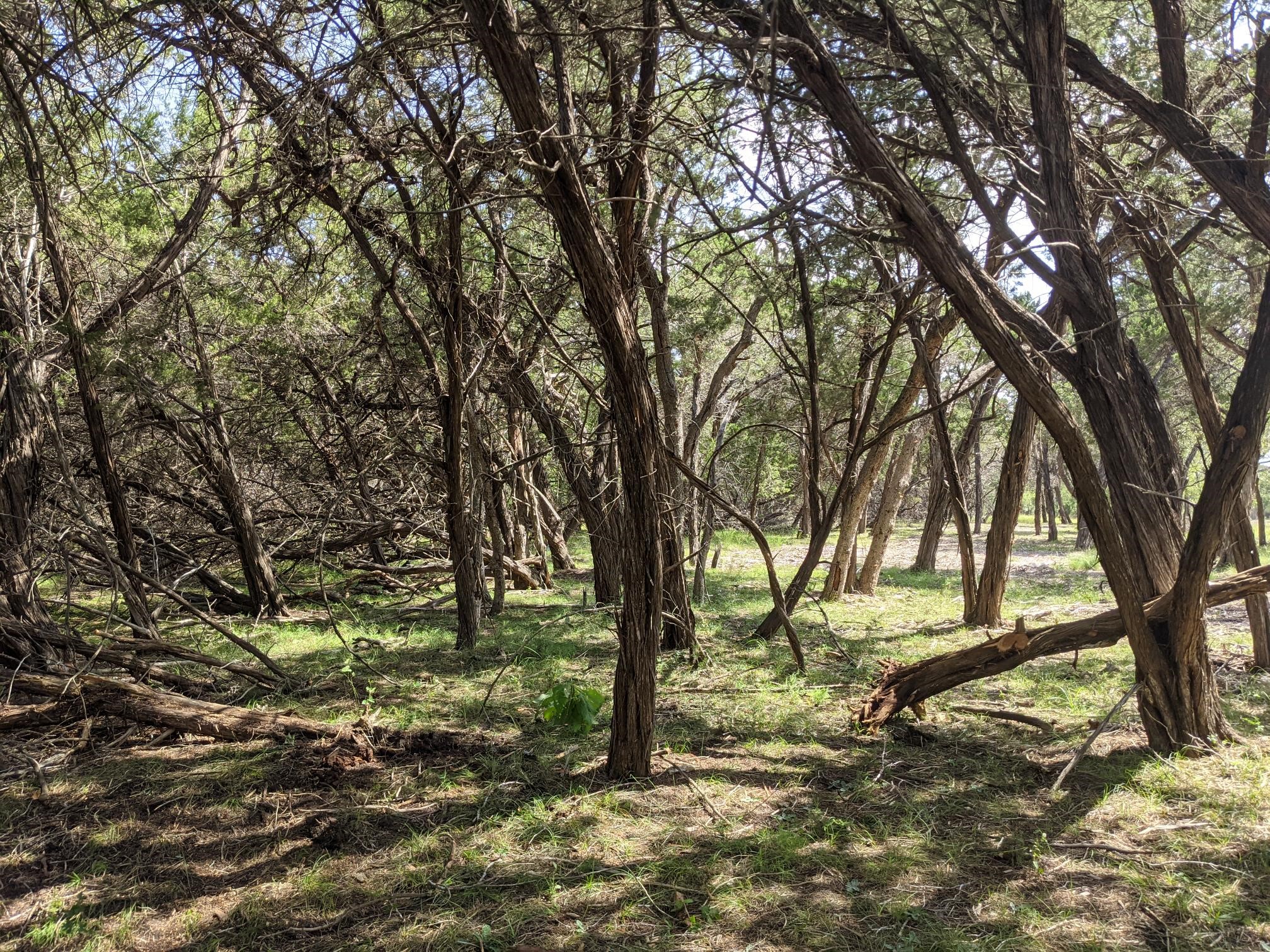 main property photo 23
