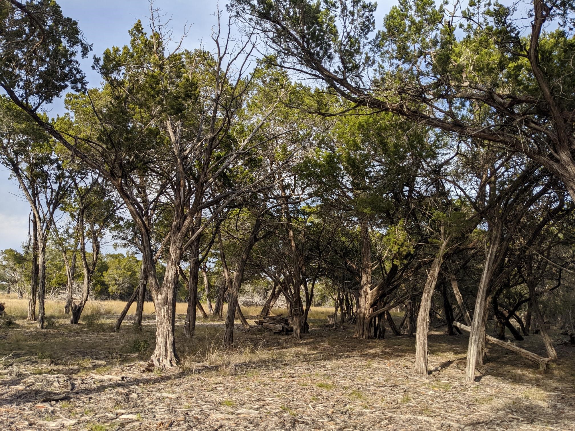 main property photo 6