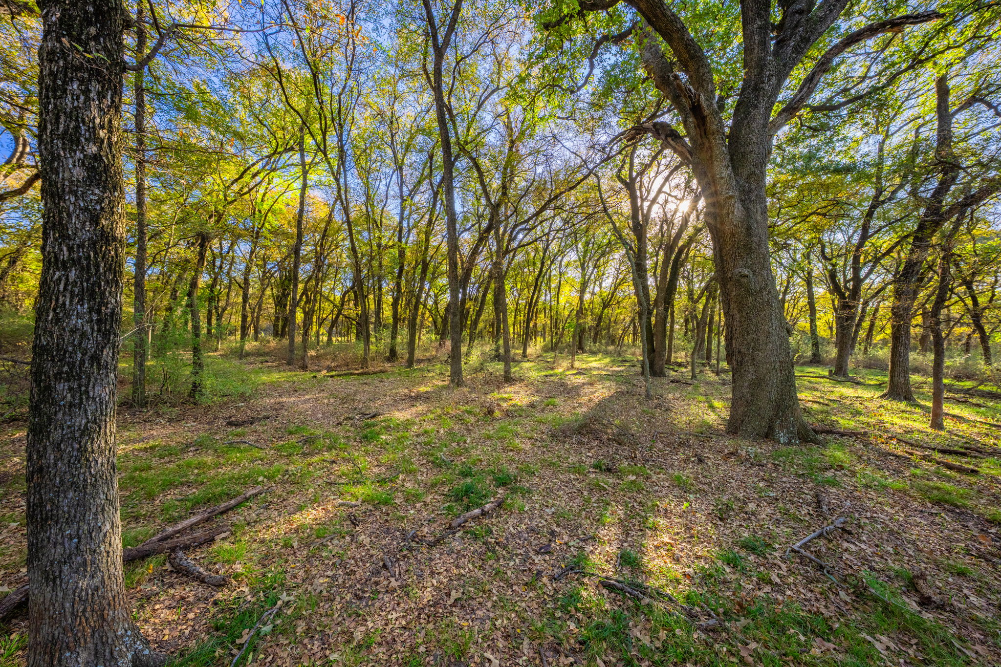 main property photo 20