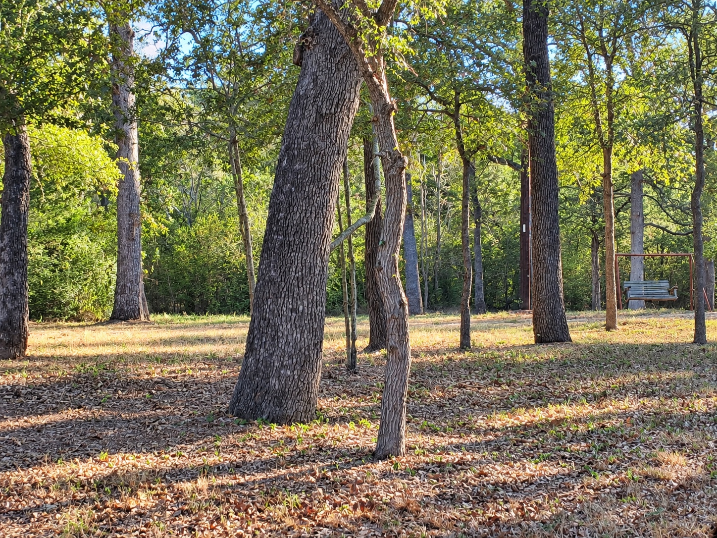 main property photo 17