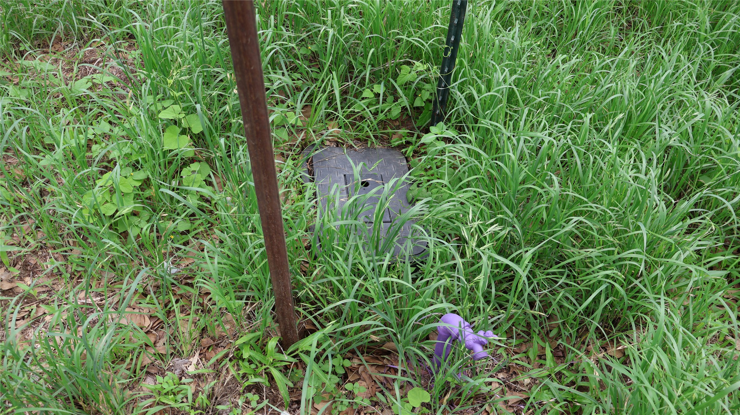 main property photo 22