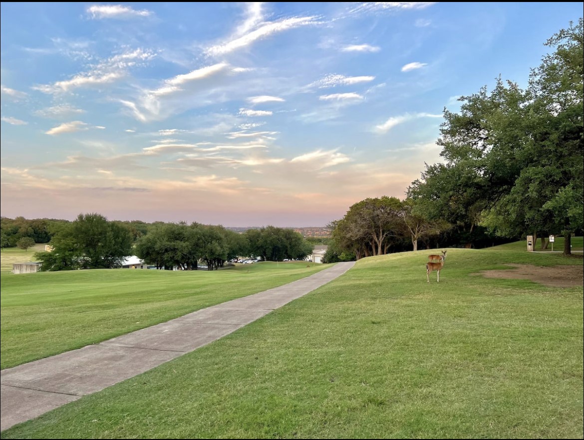 main property photo 13