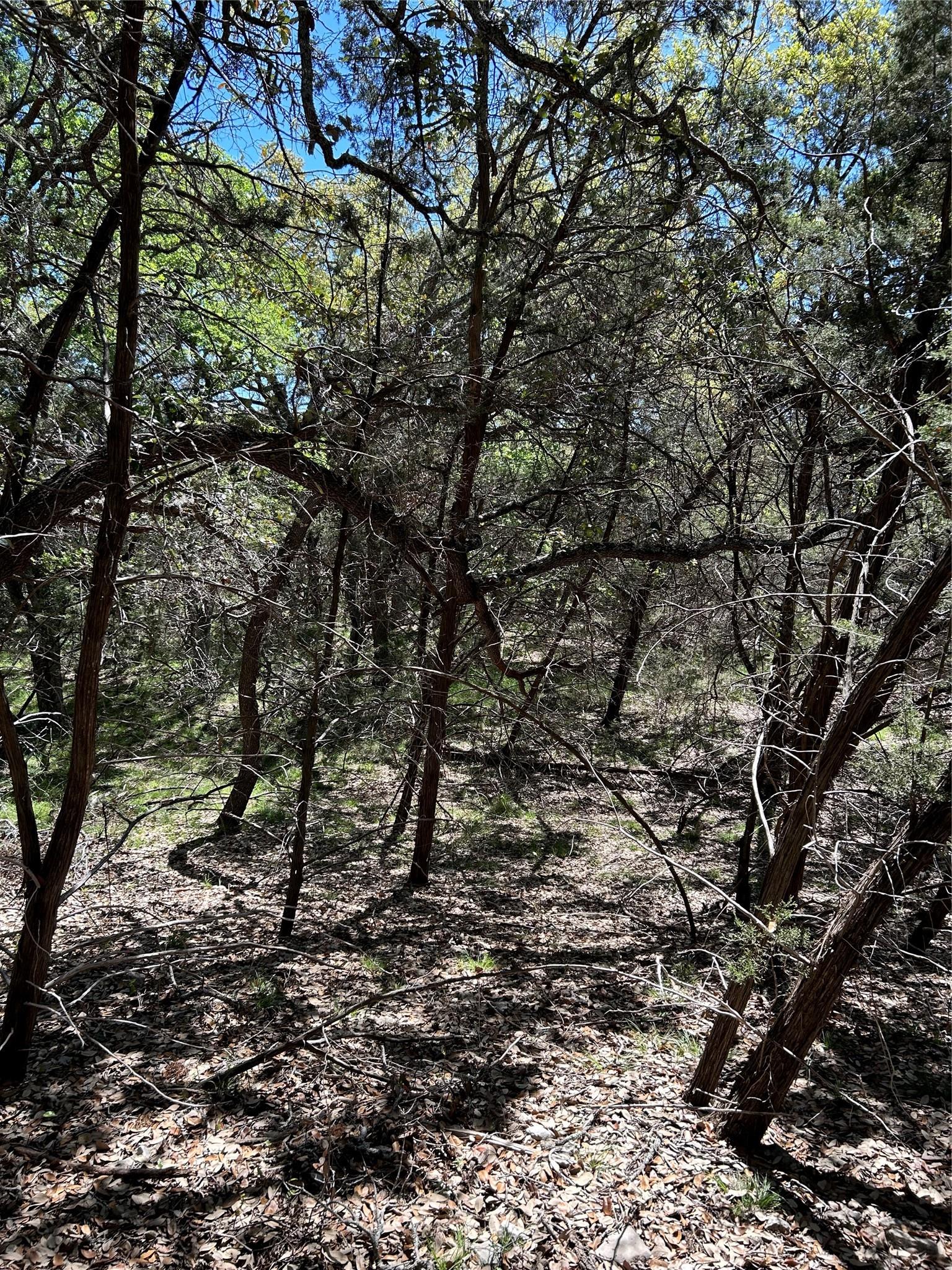 main property photo 21