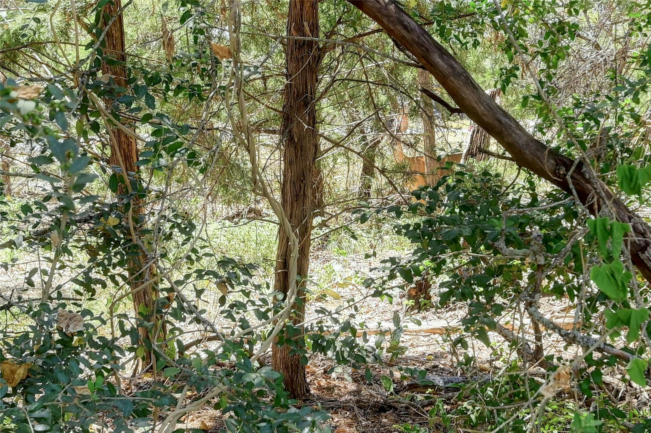 main property photo 25