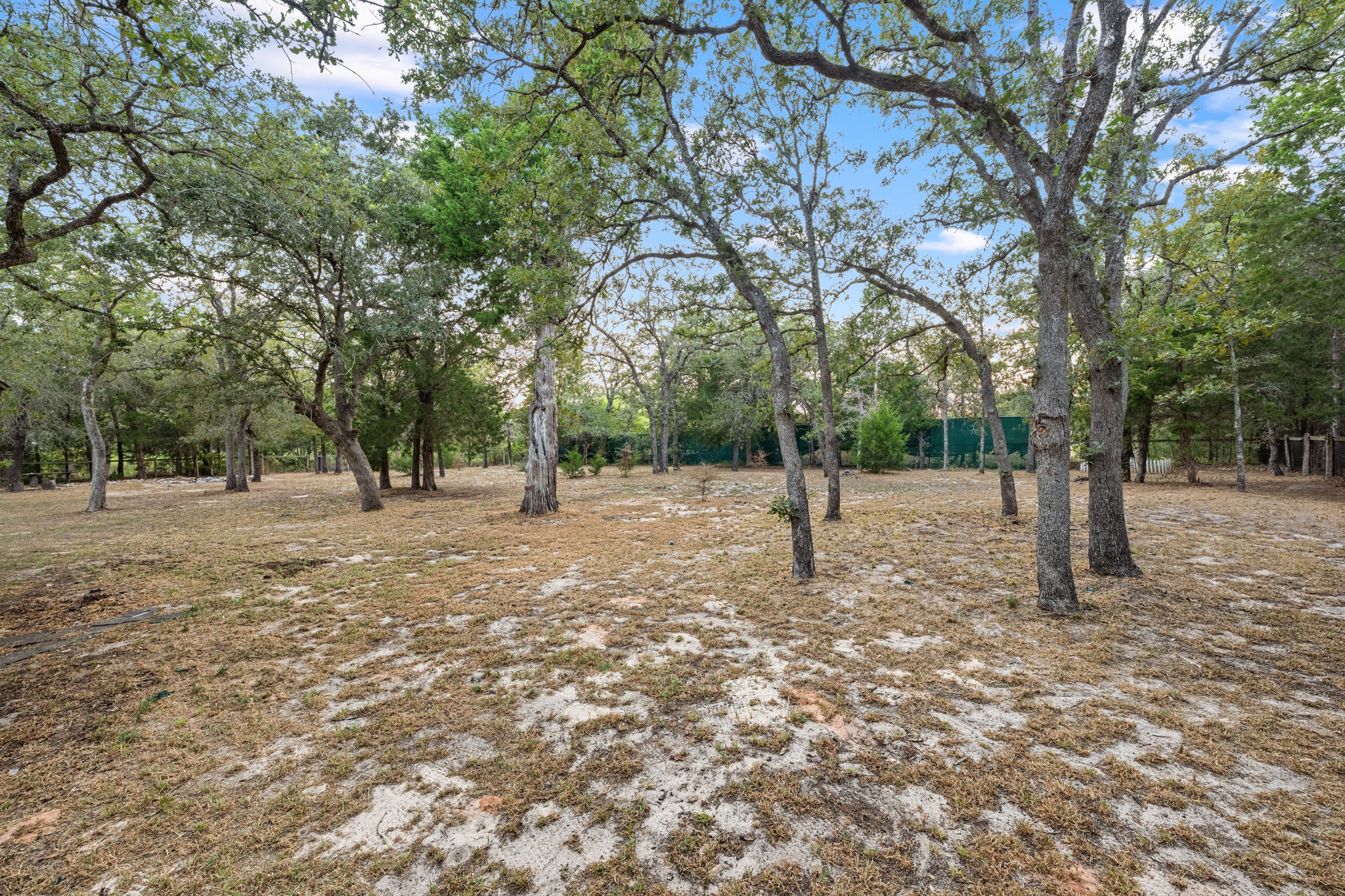 main property photo 34