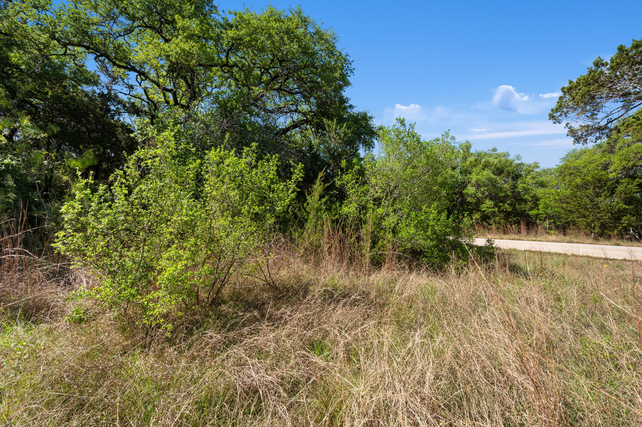 main property photo 9