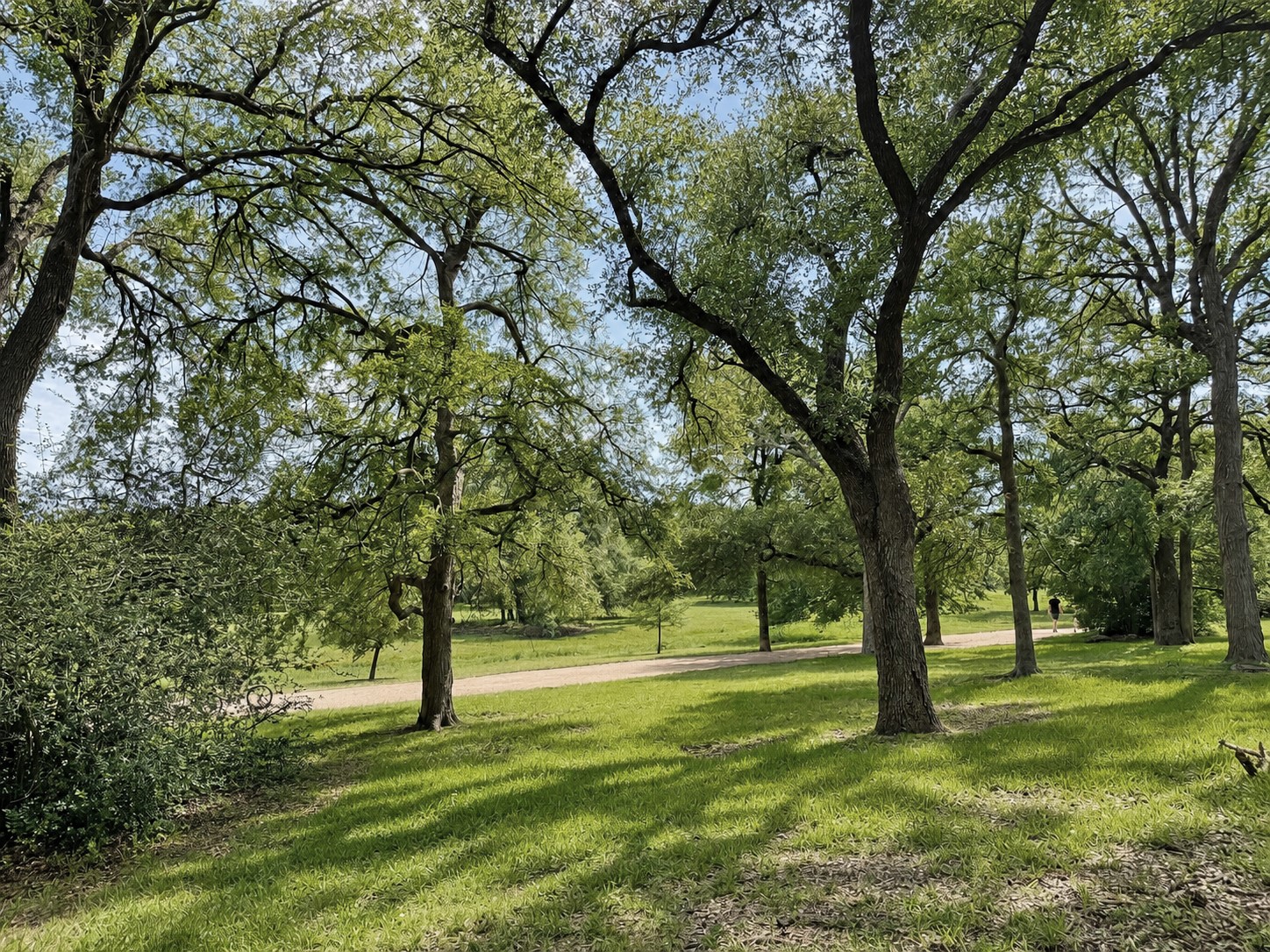 main property photo 8