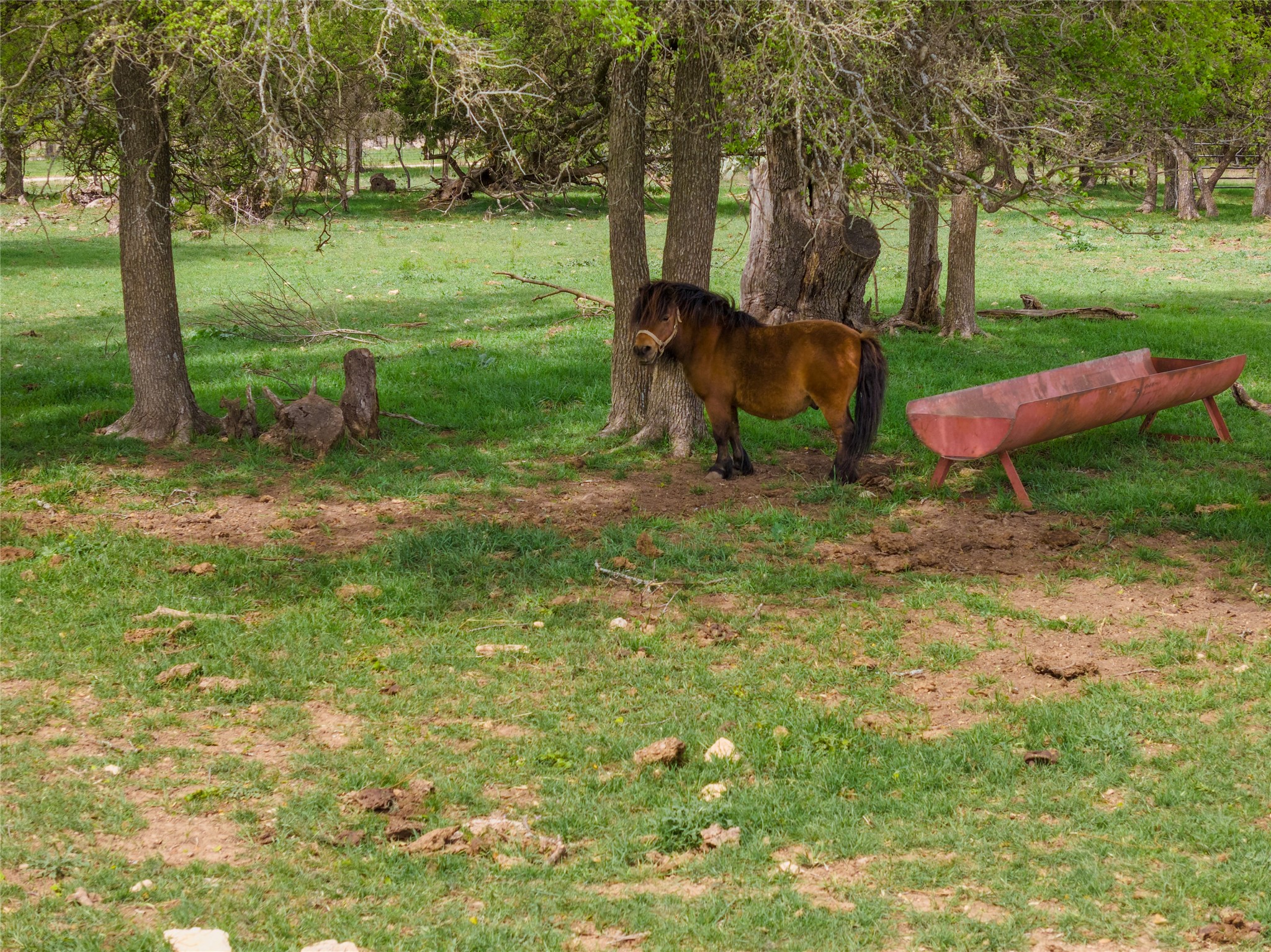 main property photo 28