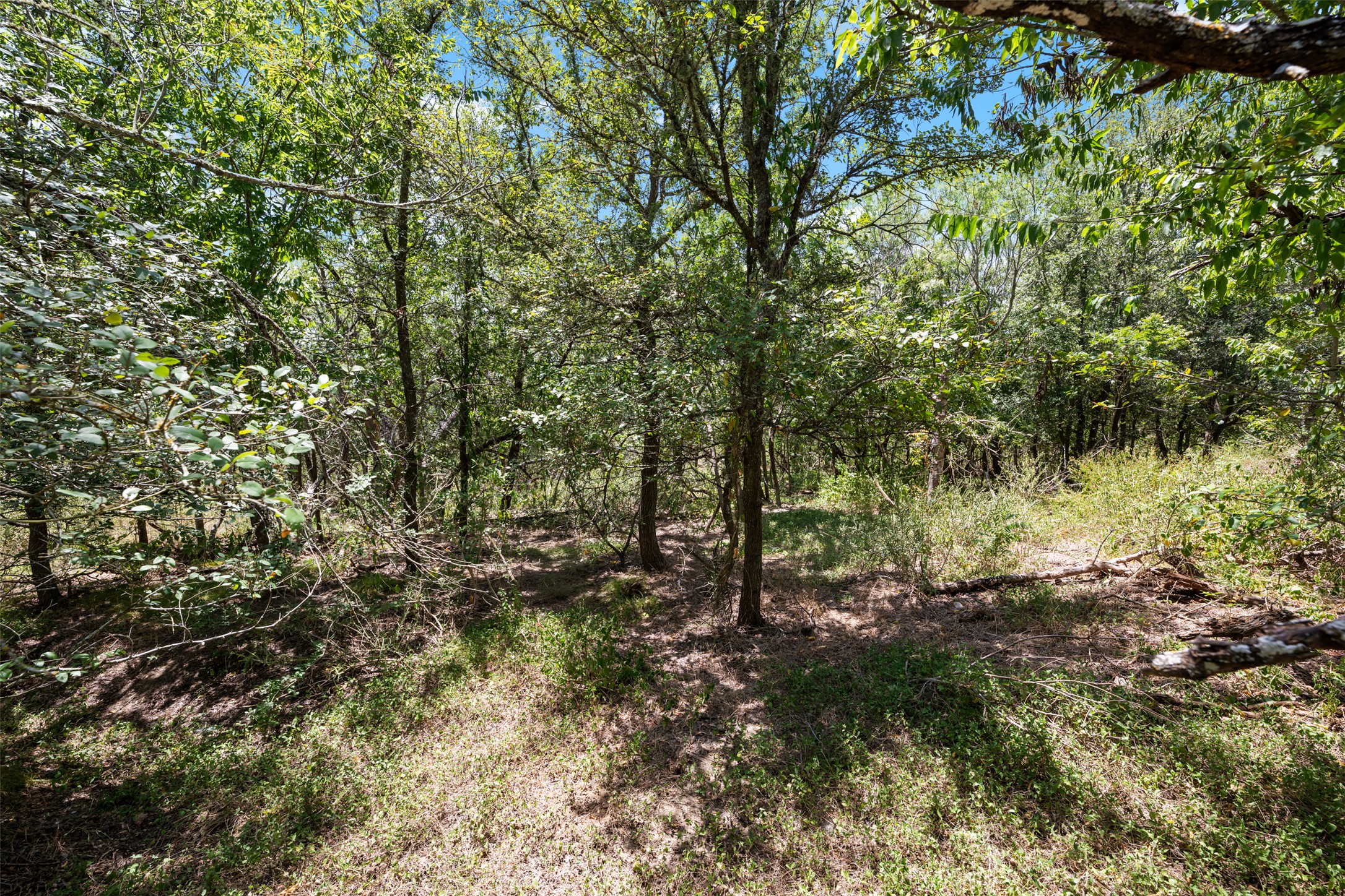 main property photo 17