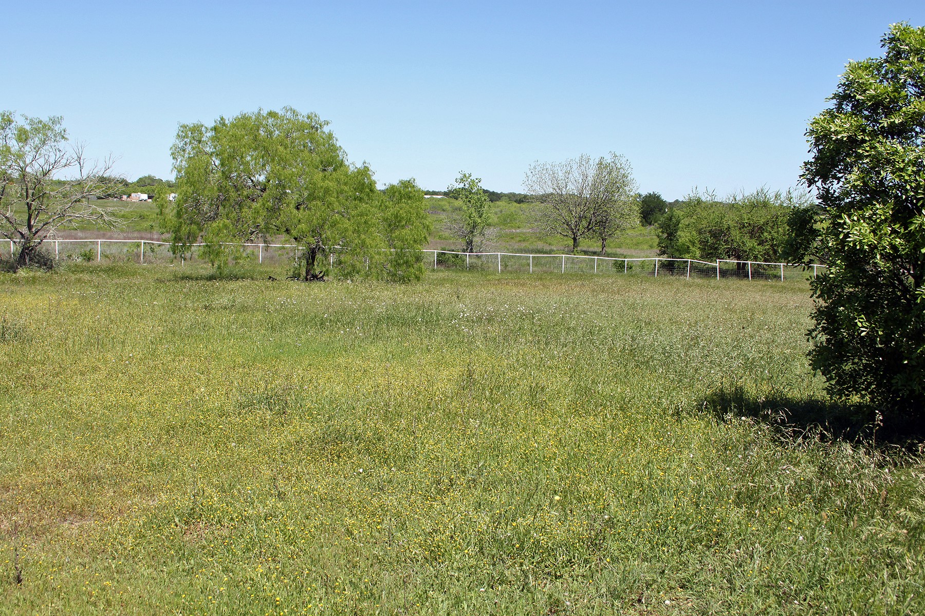 main property photo 19
