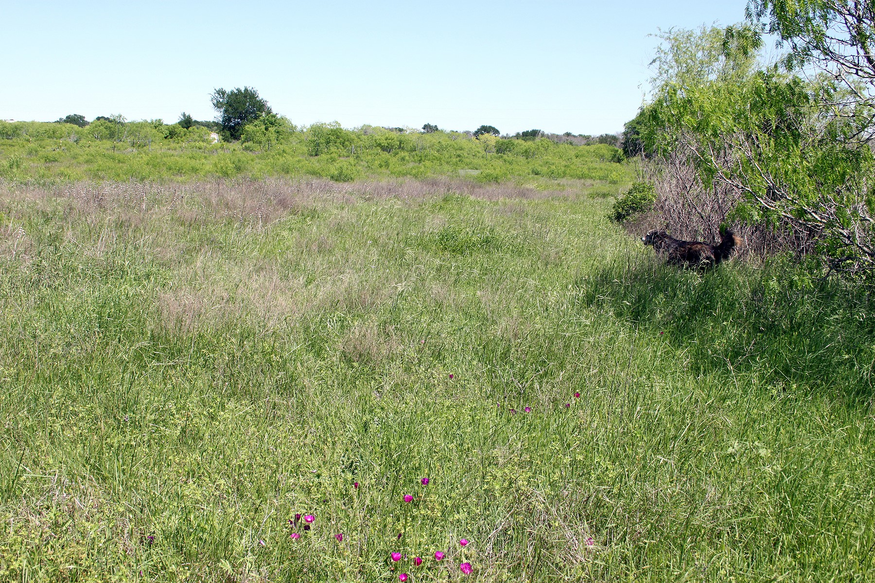 main property photo 27