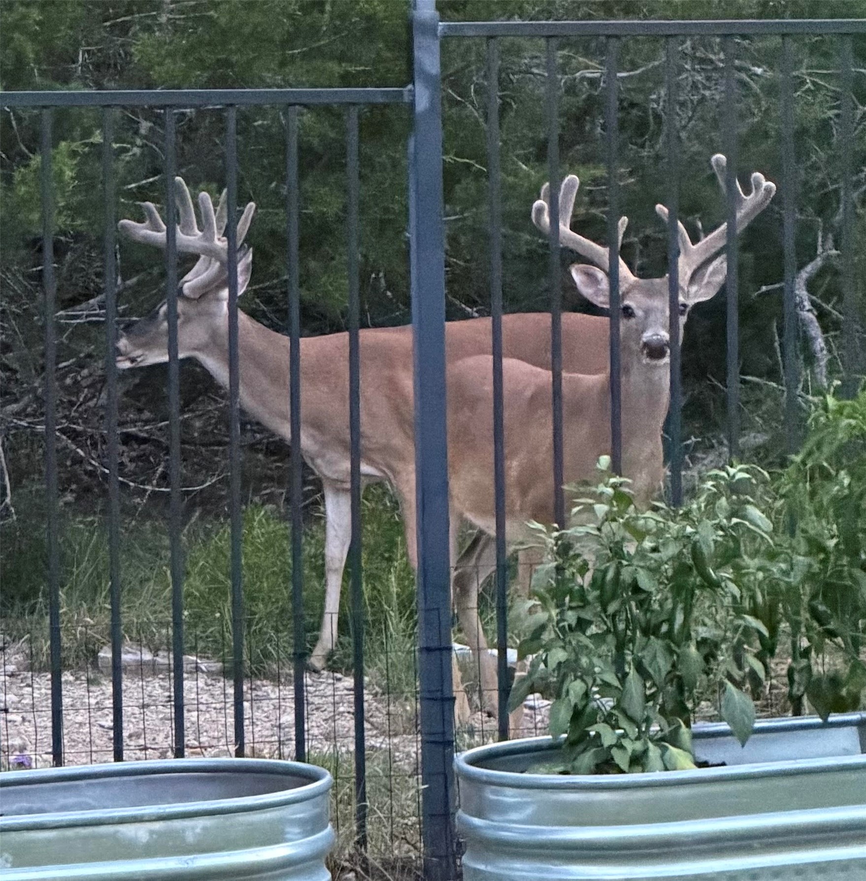 main property photo 34