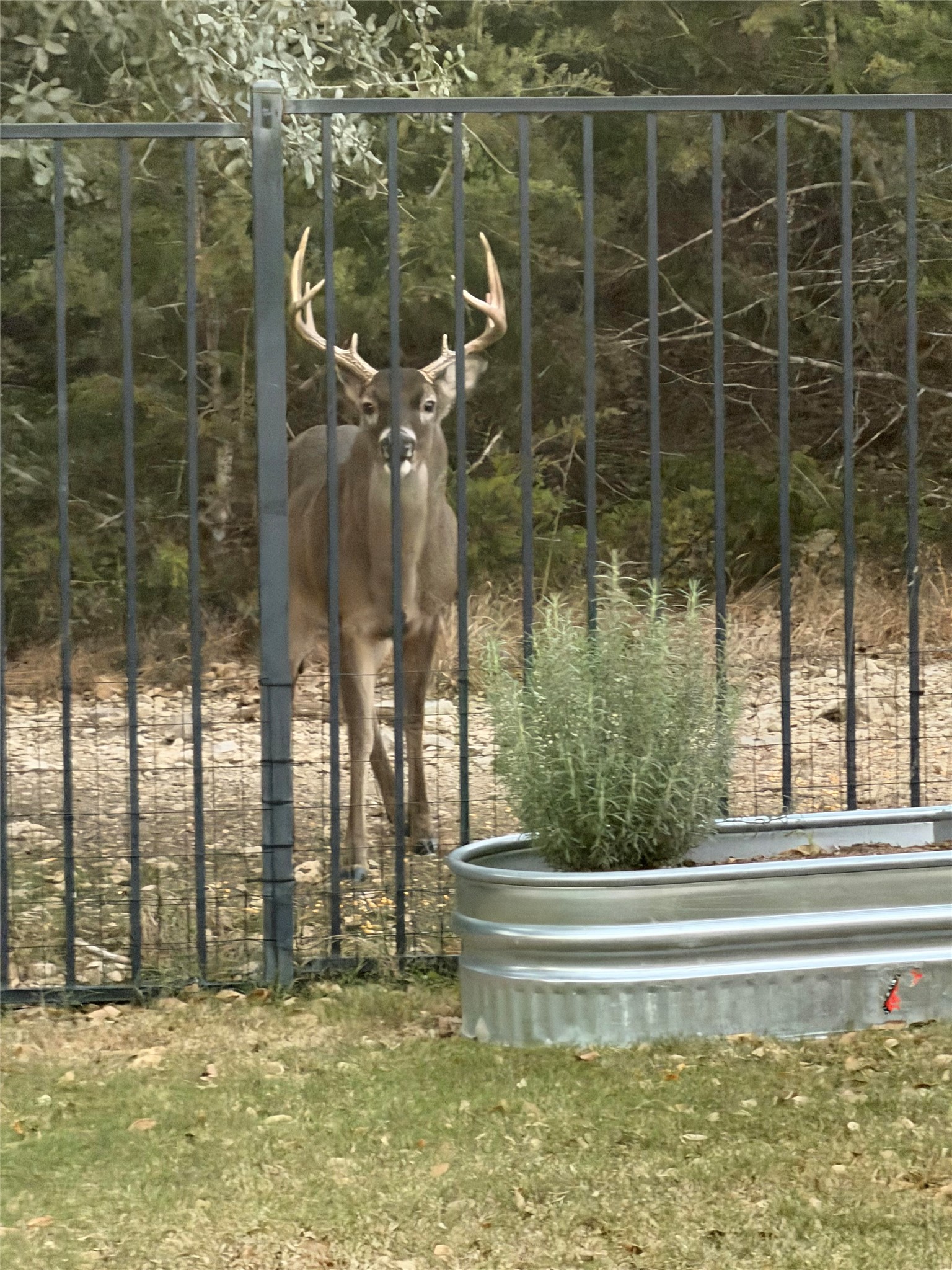 main property photo 35